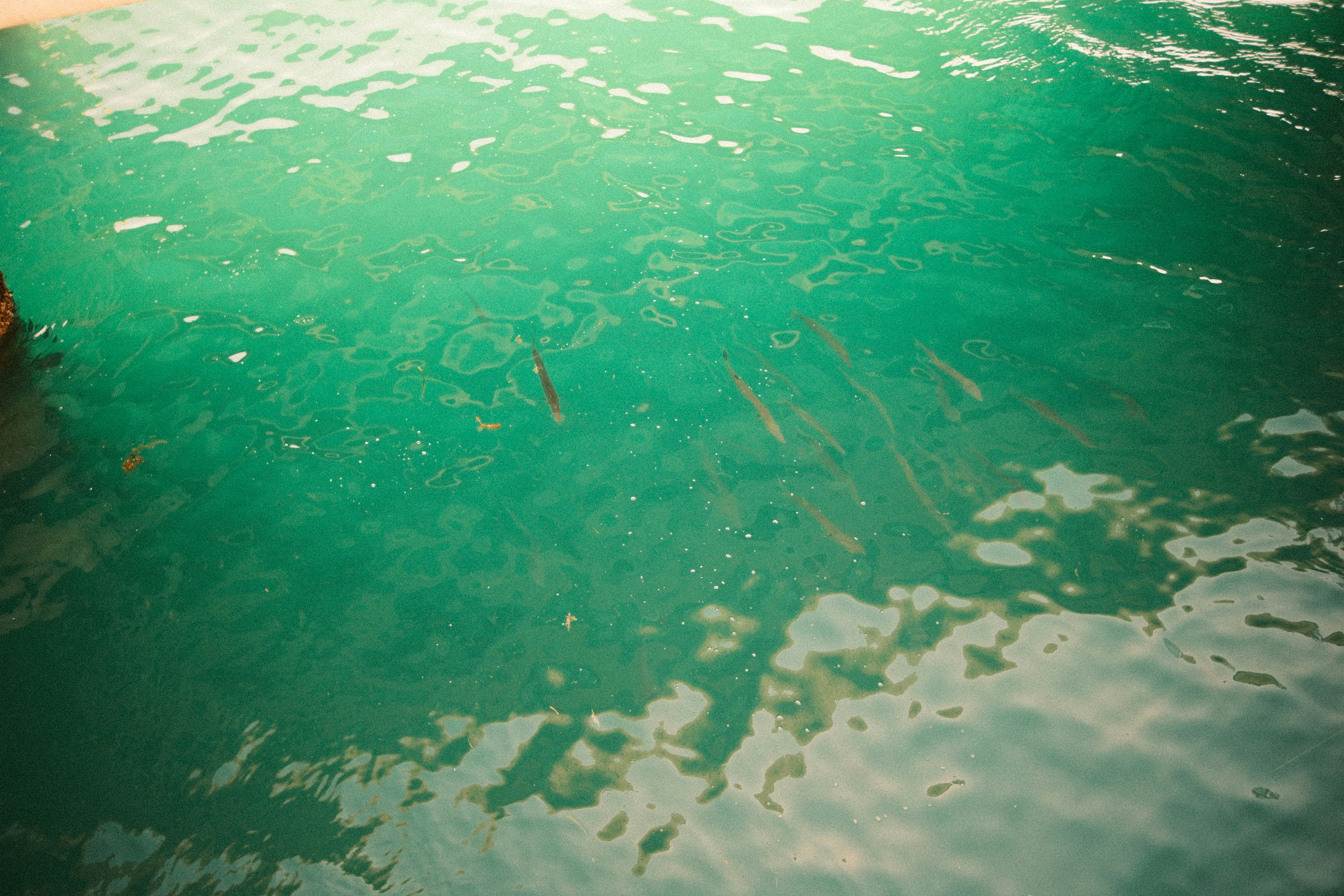 Photo by gersonalexanderlugo