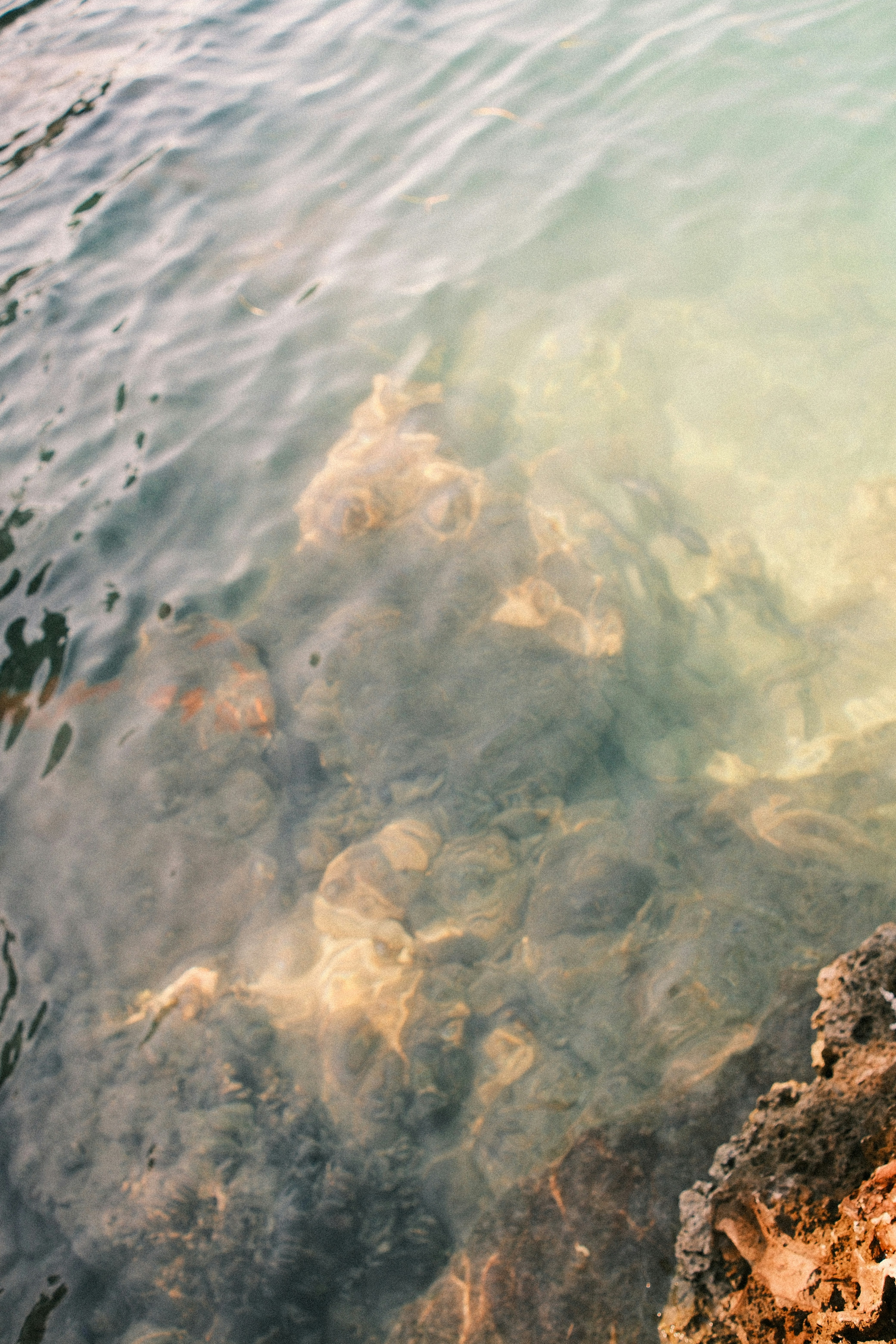 Clear ocean water reveals rocks and coral below.
