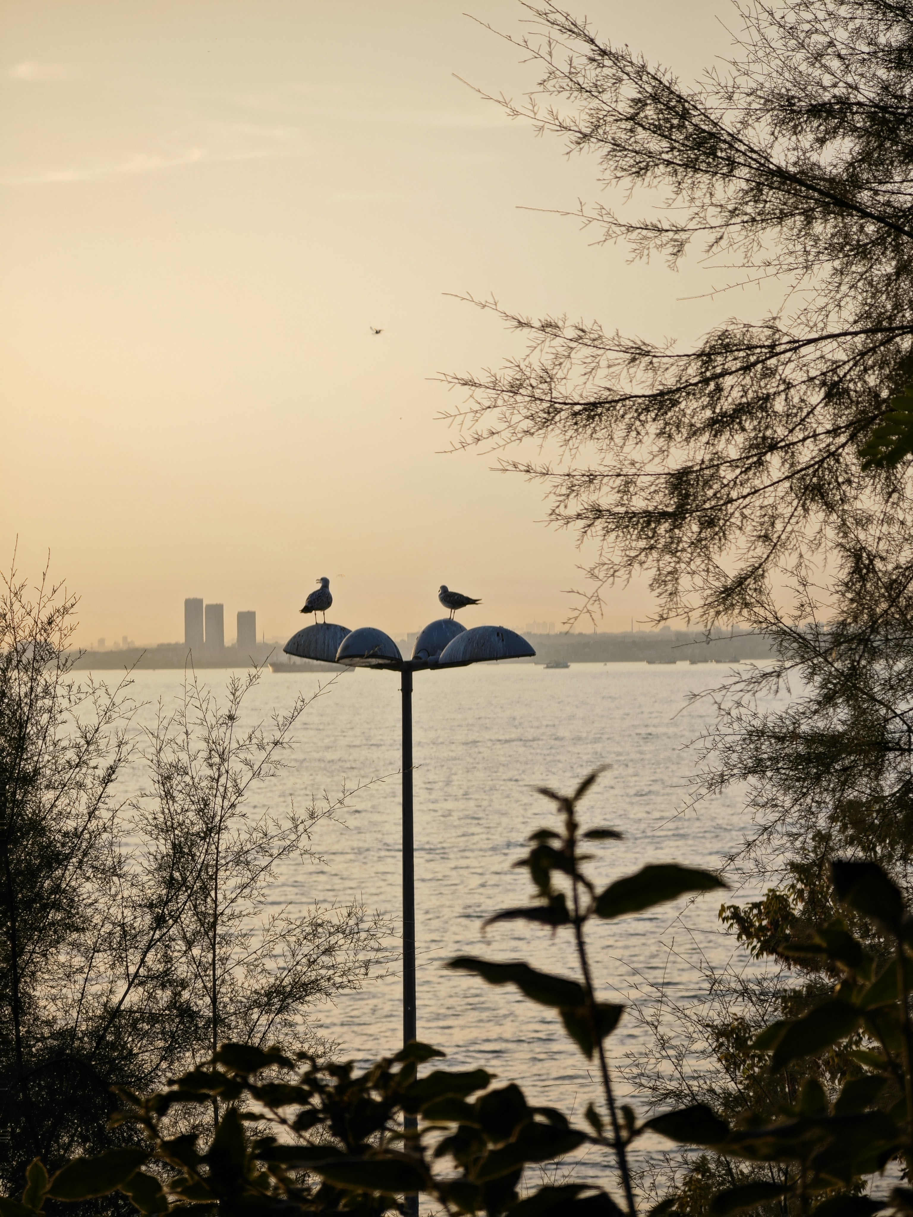 Maximize Your Weekend Getaways: Smart Travel Tips for Busy Professionals