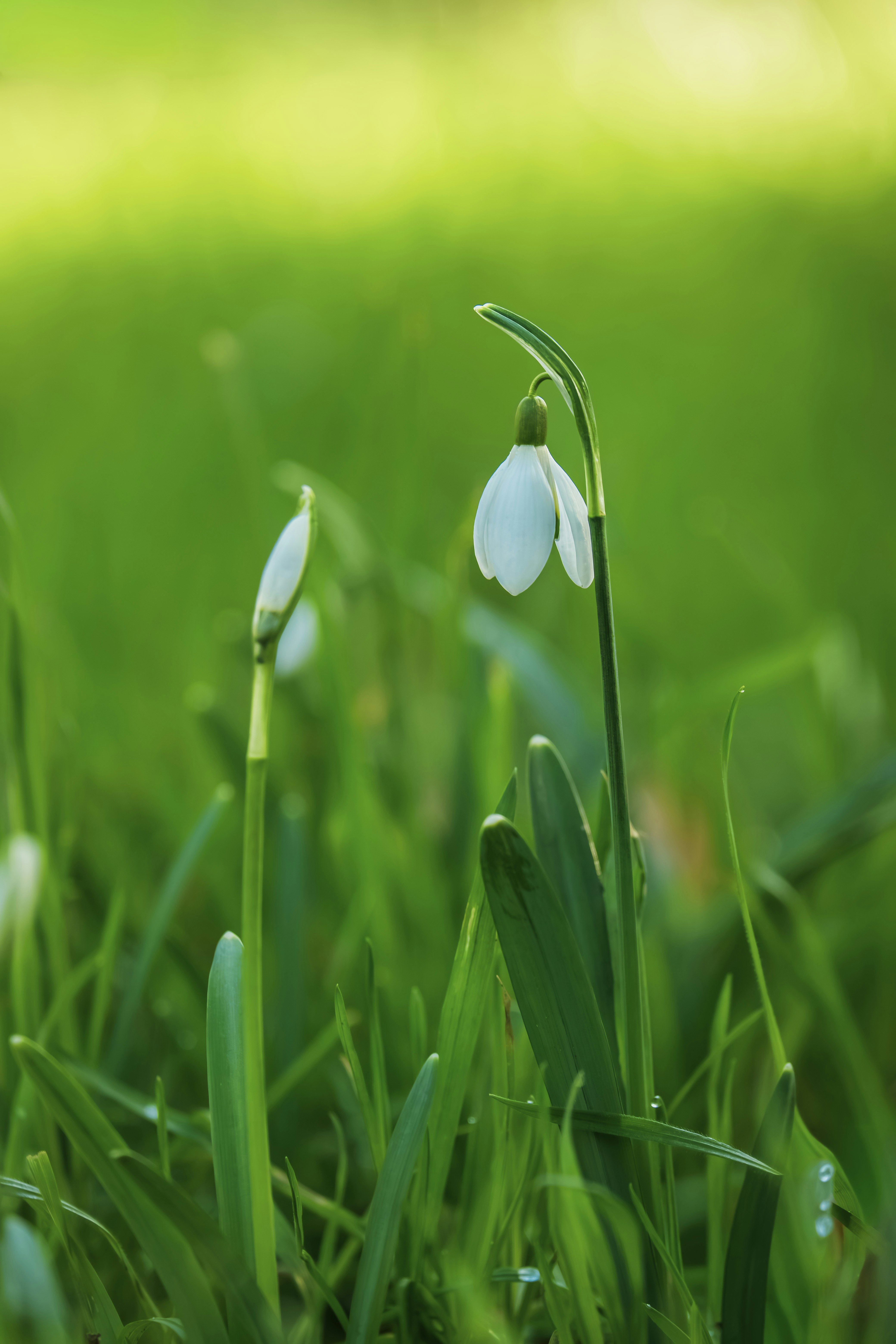 Photo by couleuroriginal