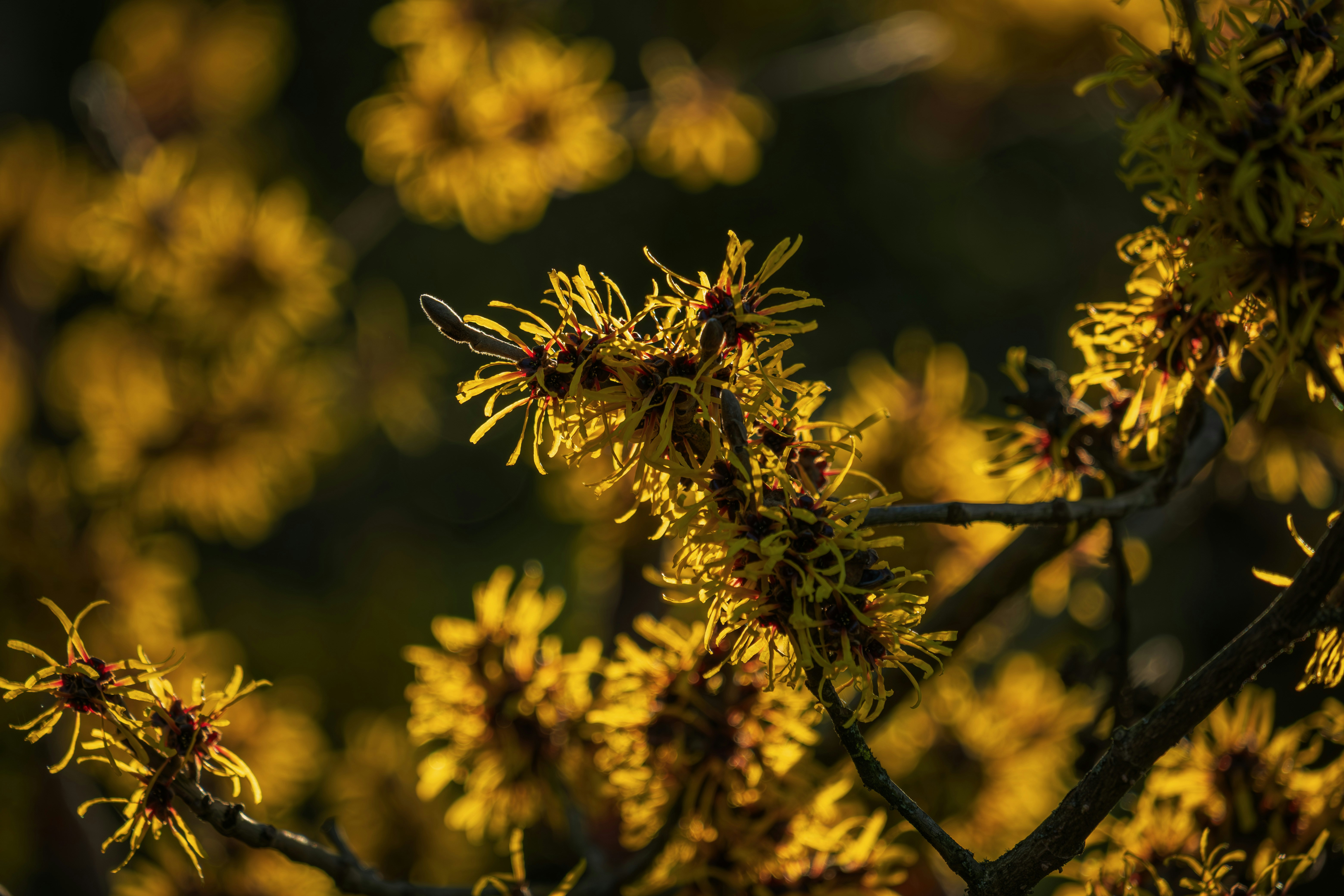 Photo by couleuroriginal