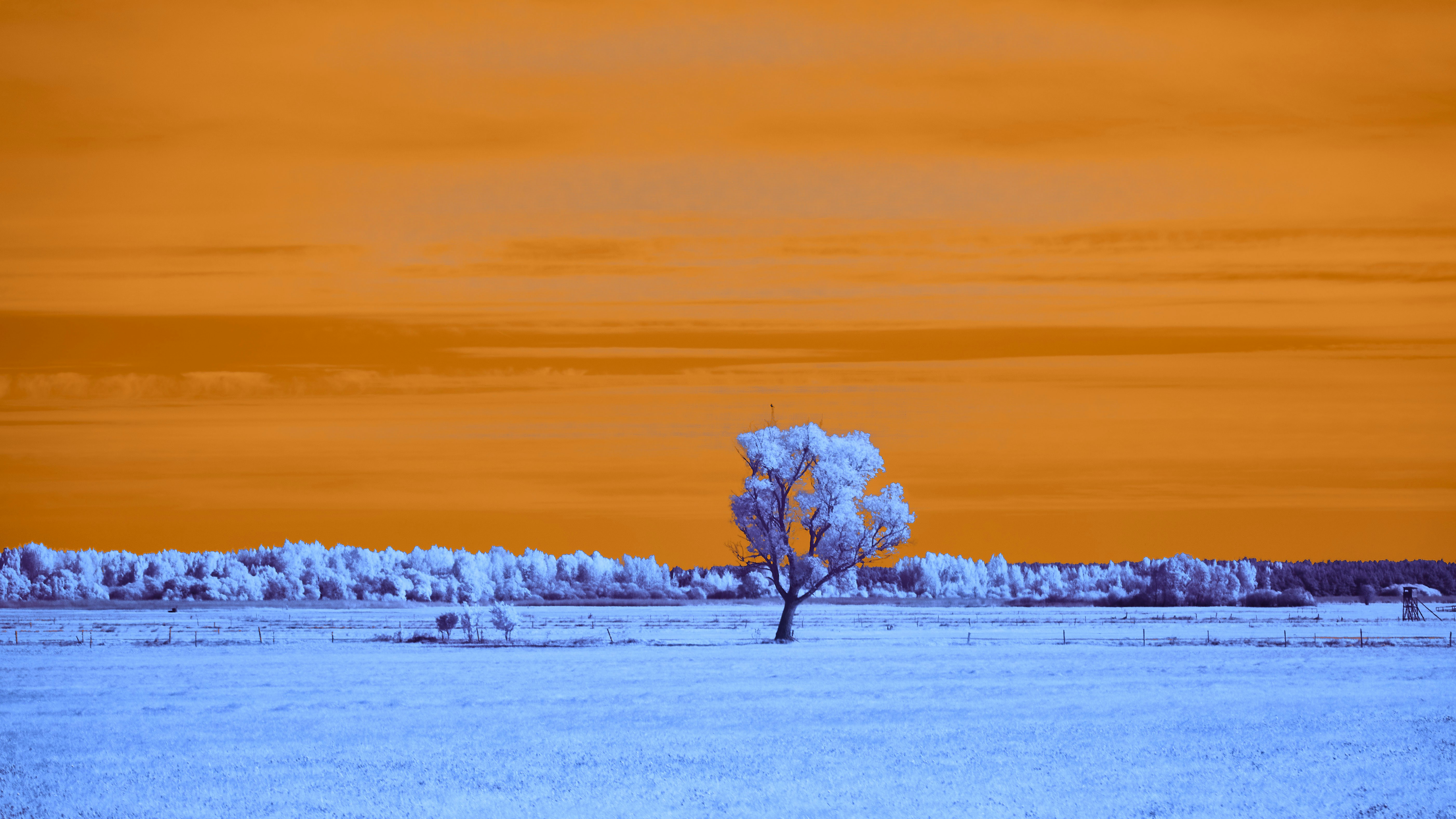 Photo by wolfgang_hasselmann