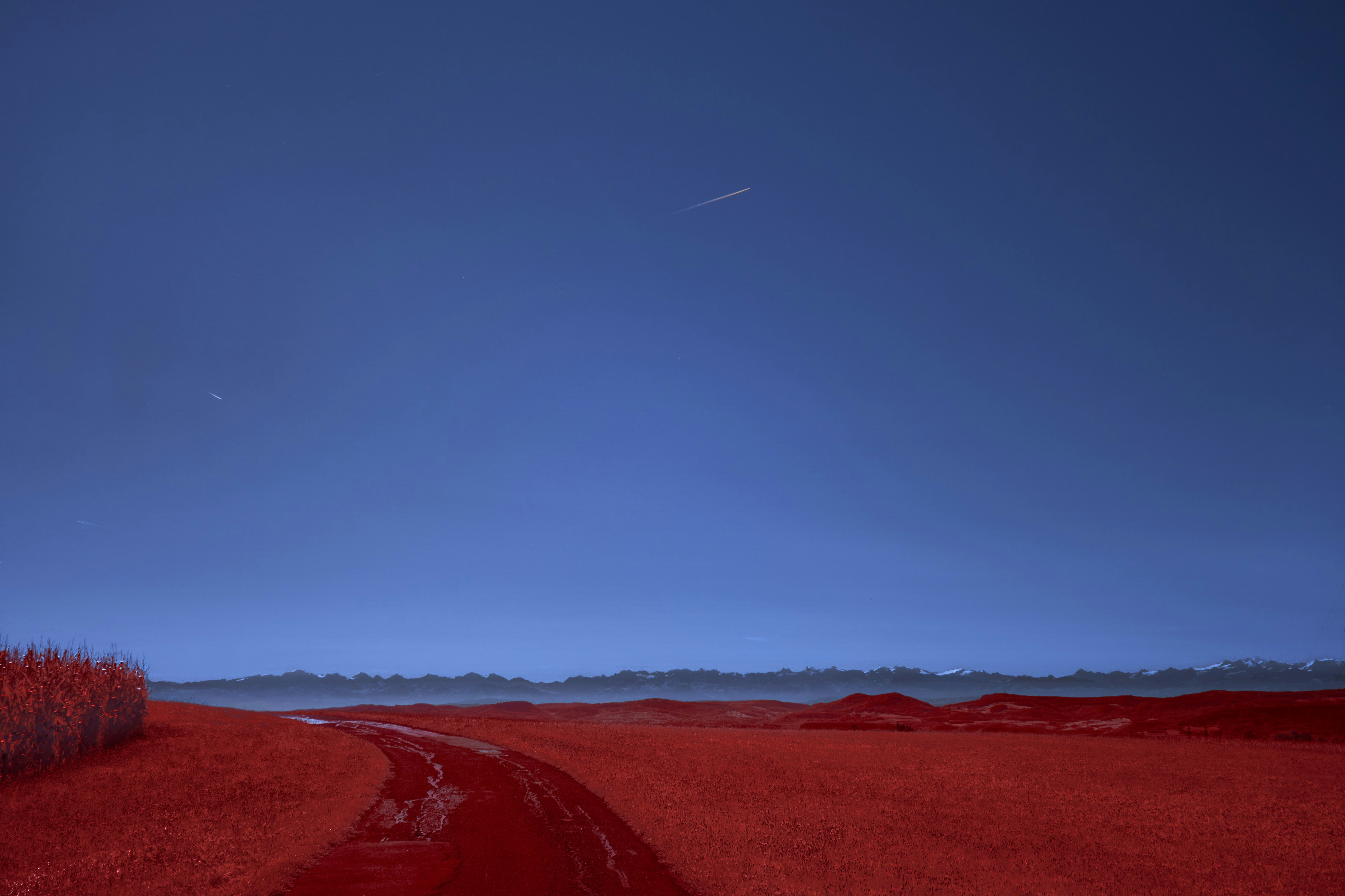 Photo by wolfgang_hasselmann