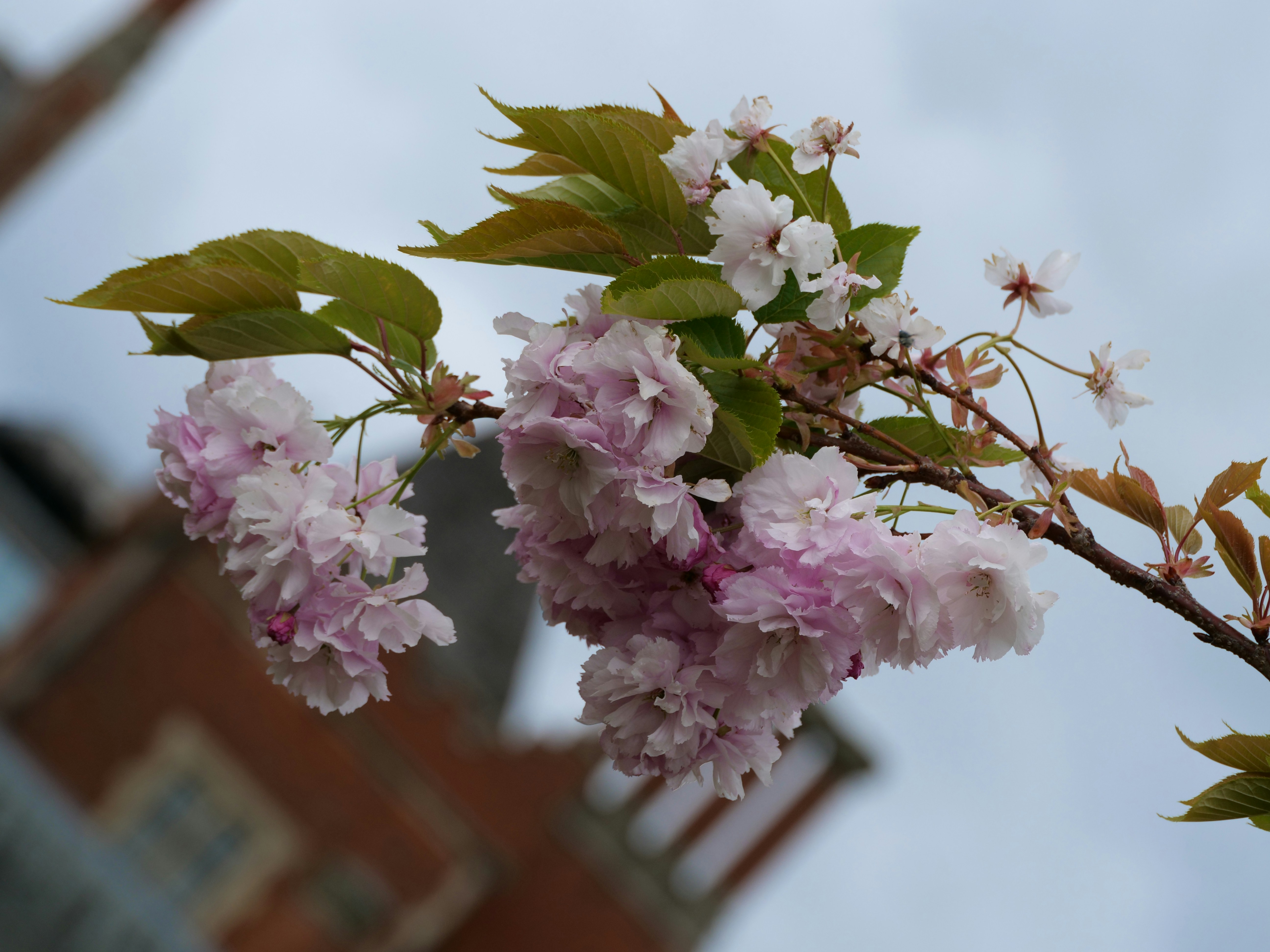 Photo by balmy_sunset