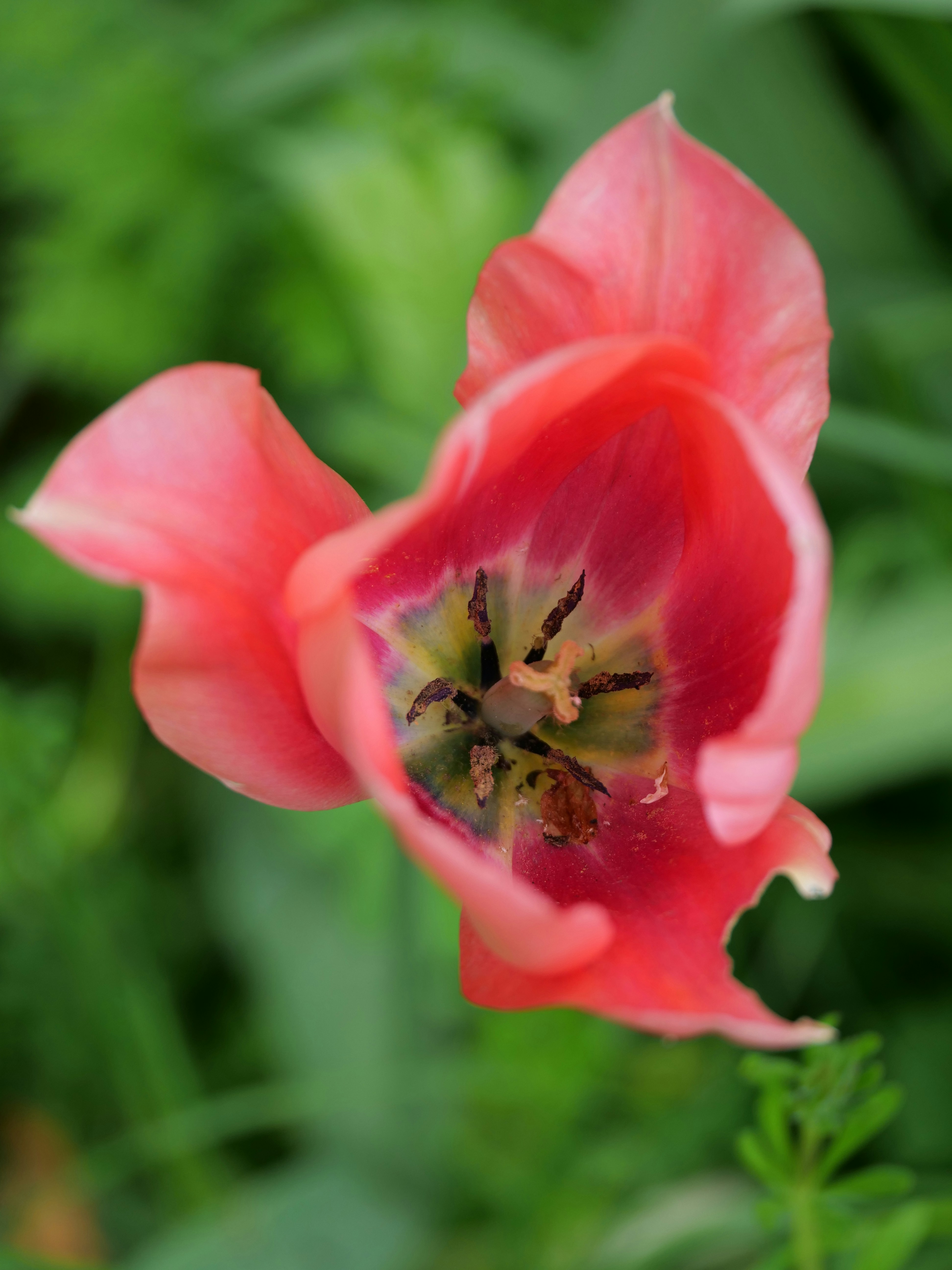 Photo by balmy_sunset