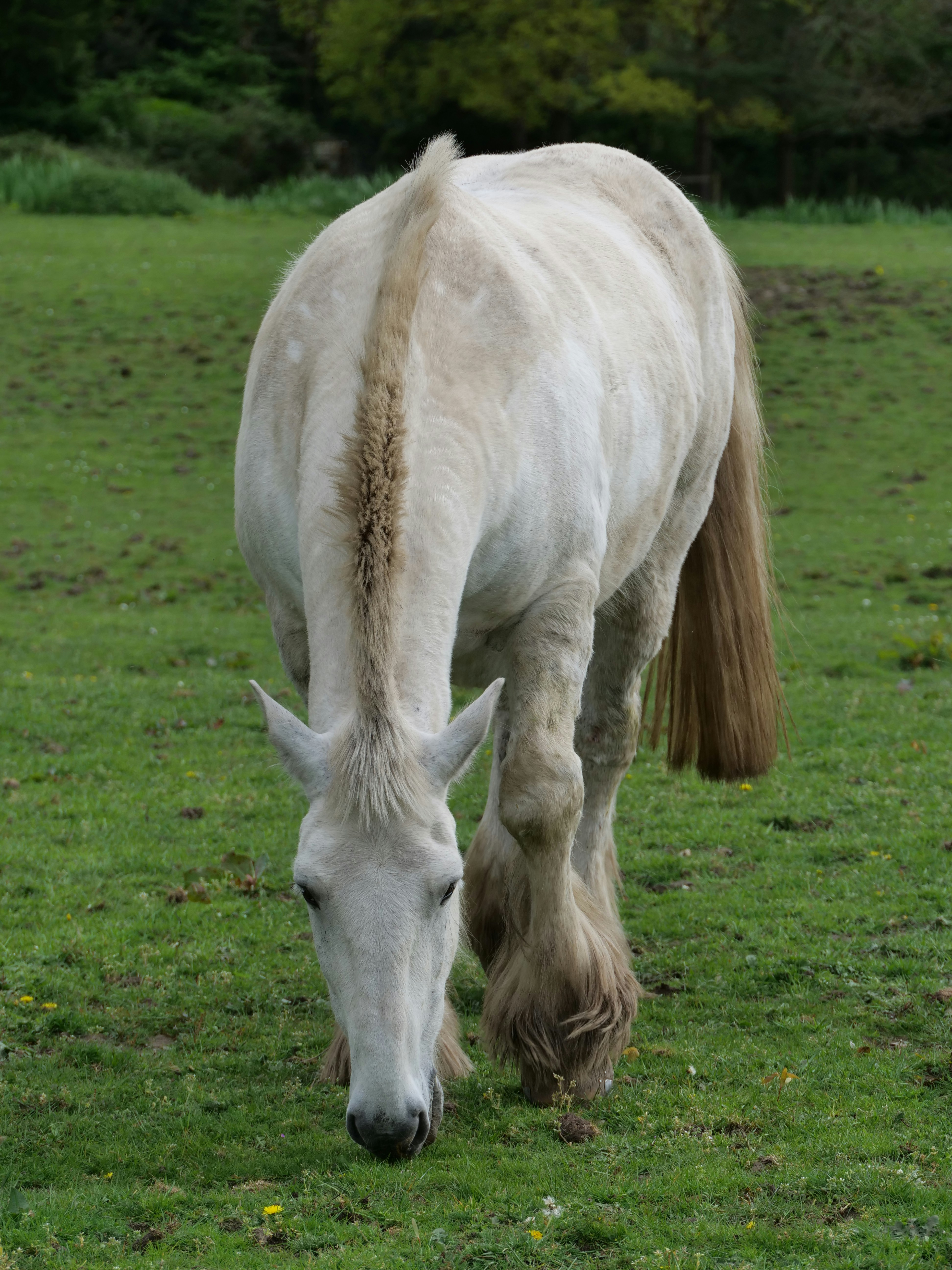 Photo by balmy_sunset