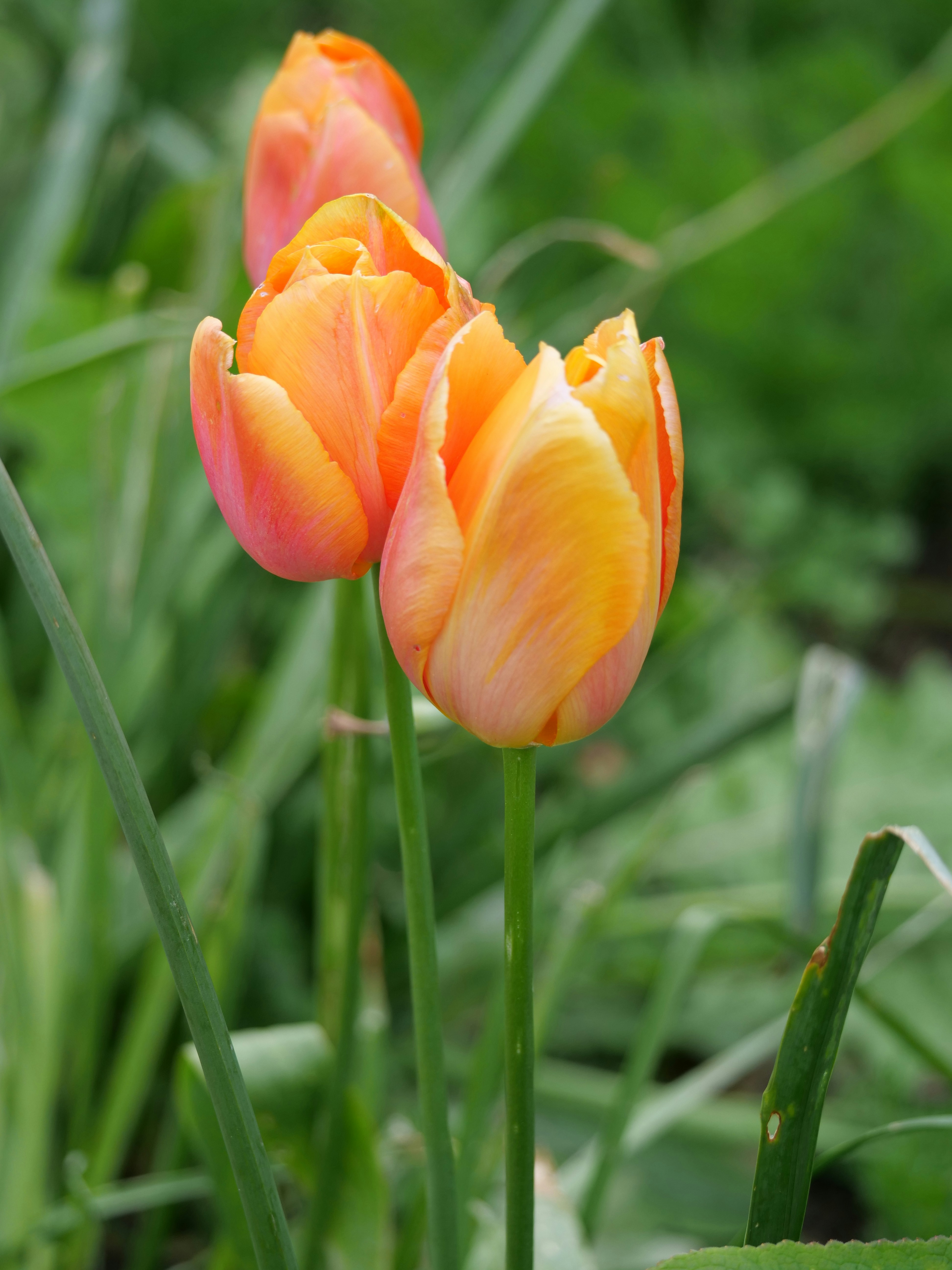 Photo by balmy_sunset