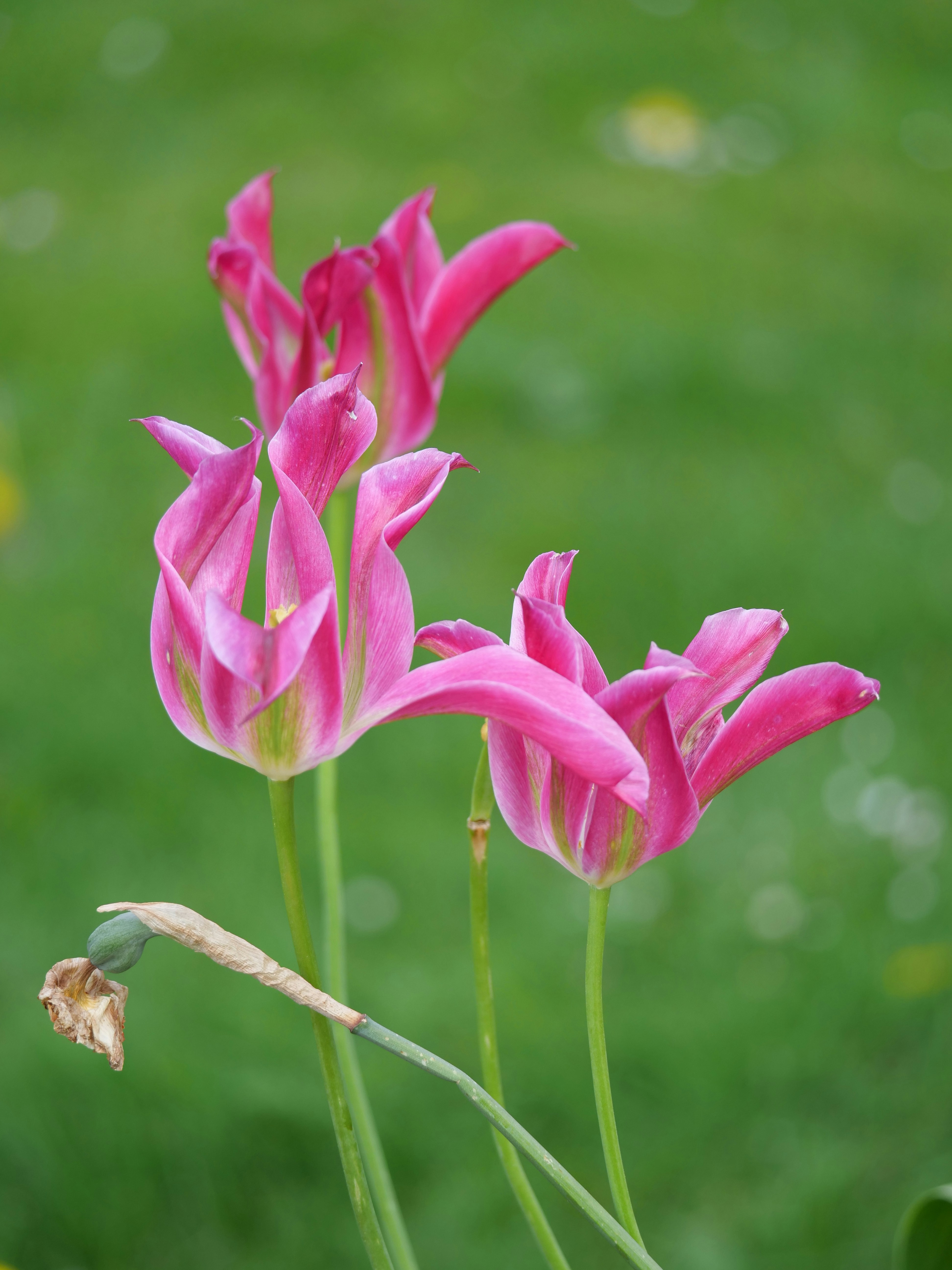 Photo by balmy_sunset