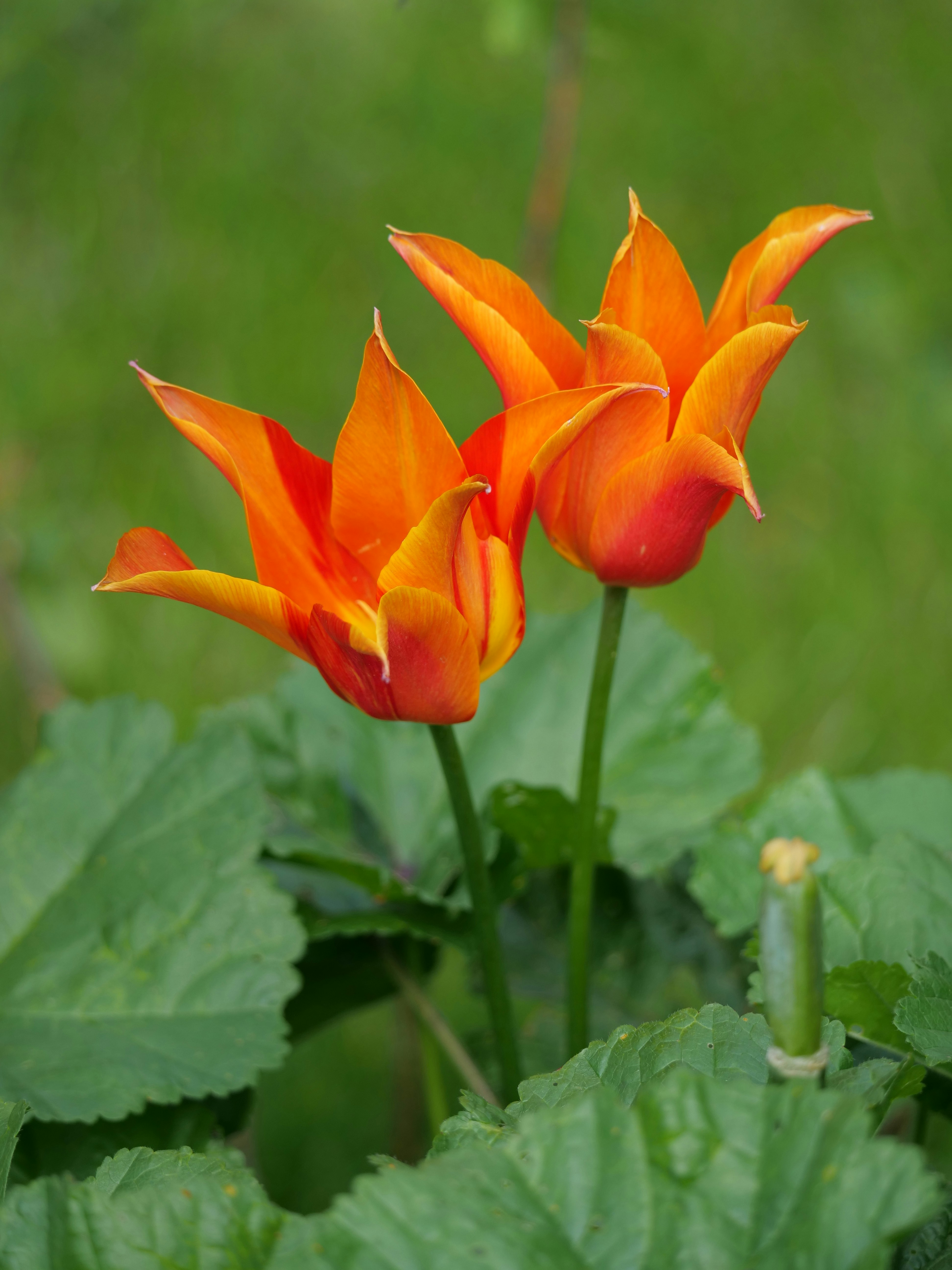 Photo by balmy_sunset