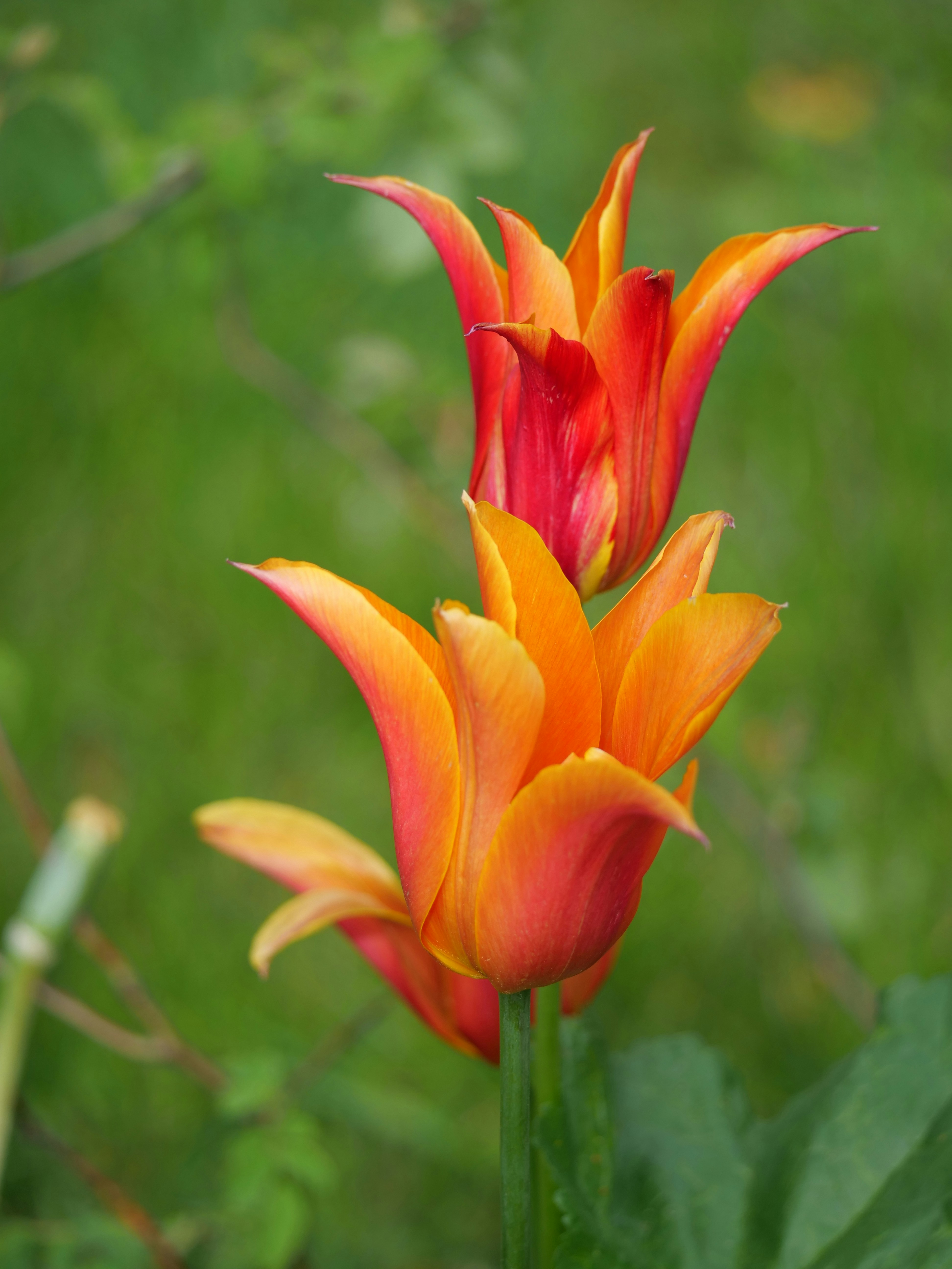 Photo by balmy_sunset