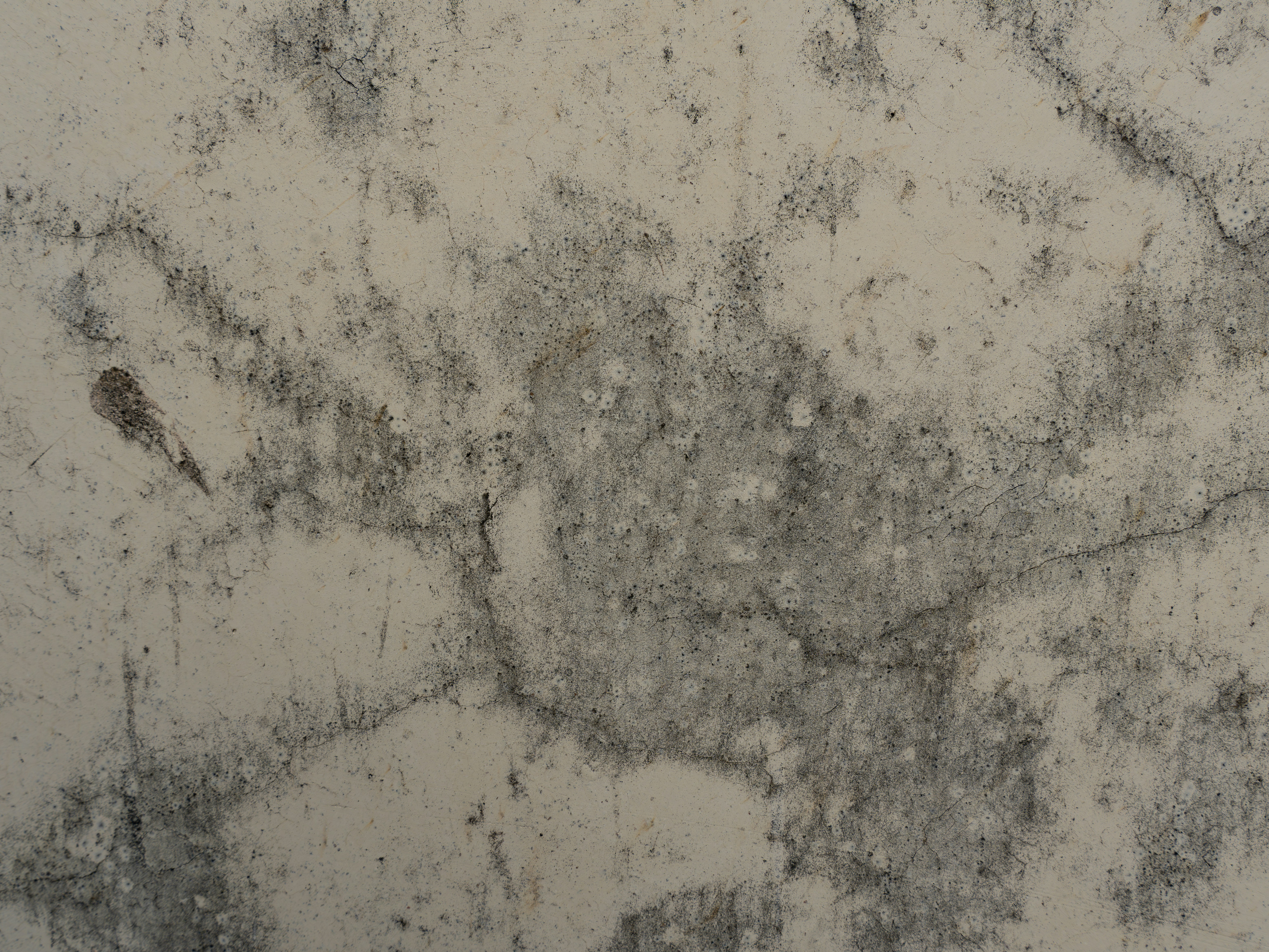 Photo by remapstudio