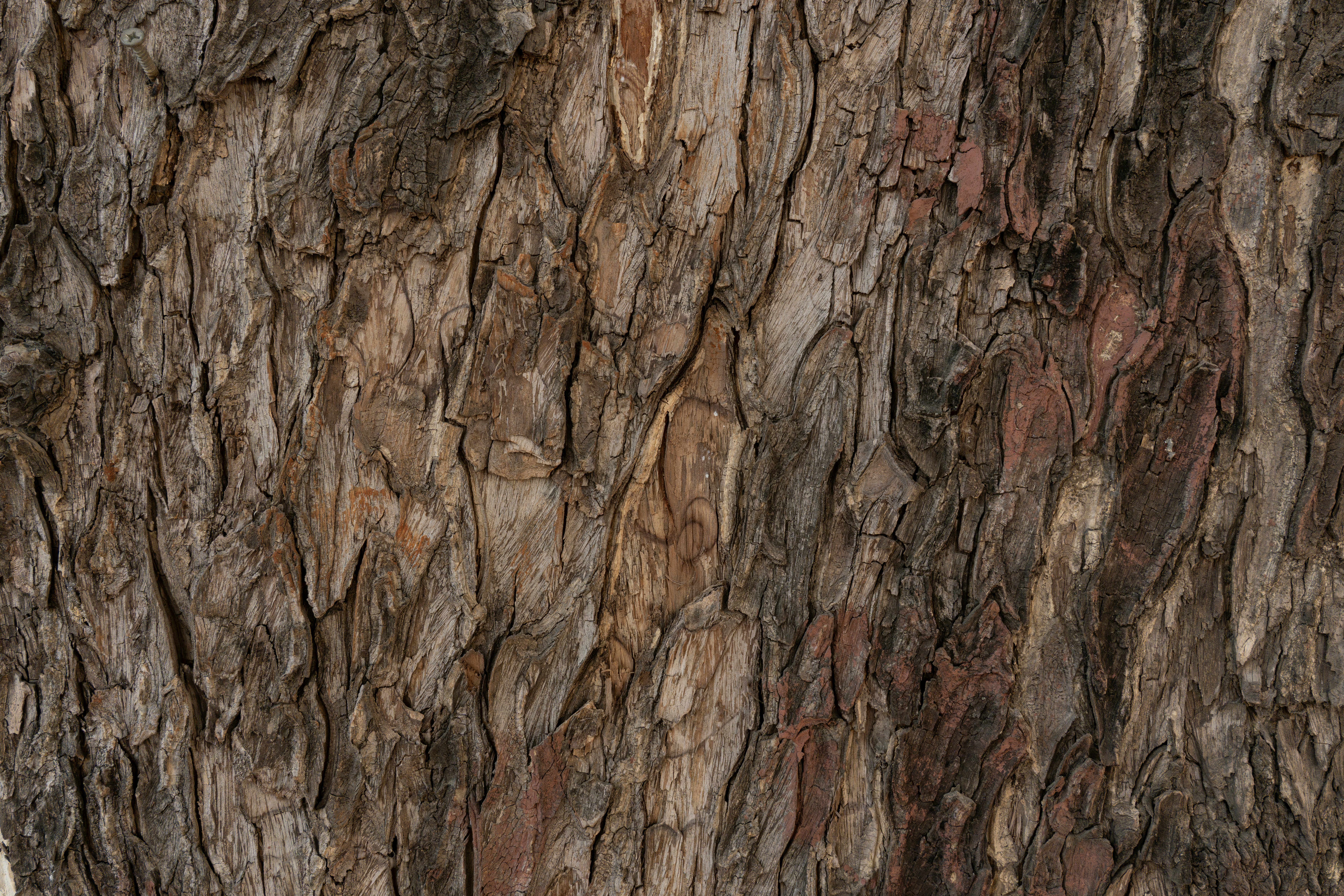 Photo by remapstudio