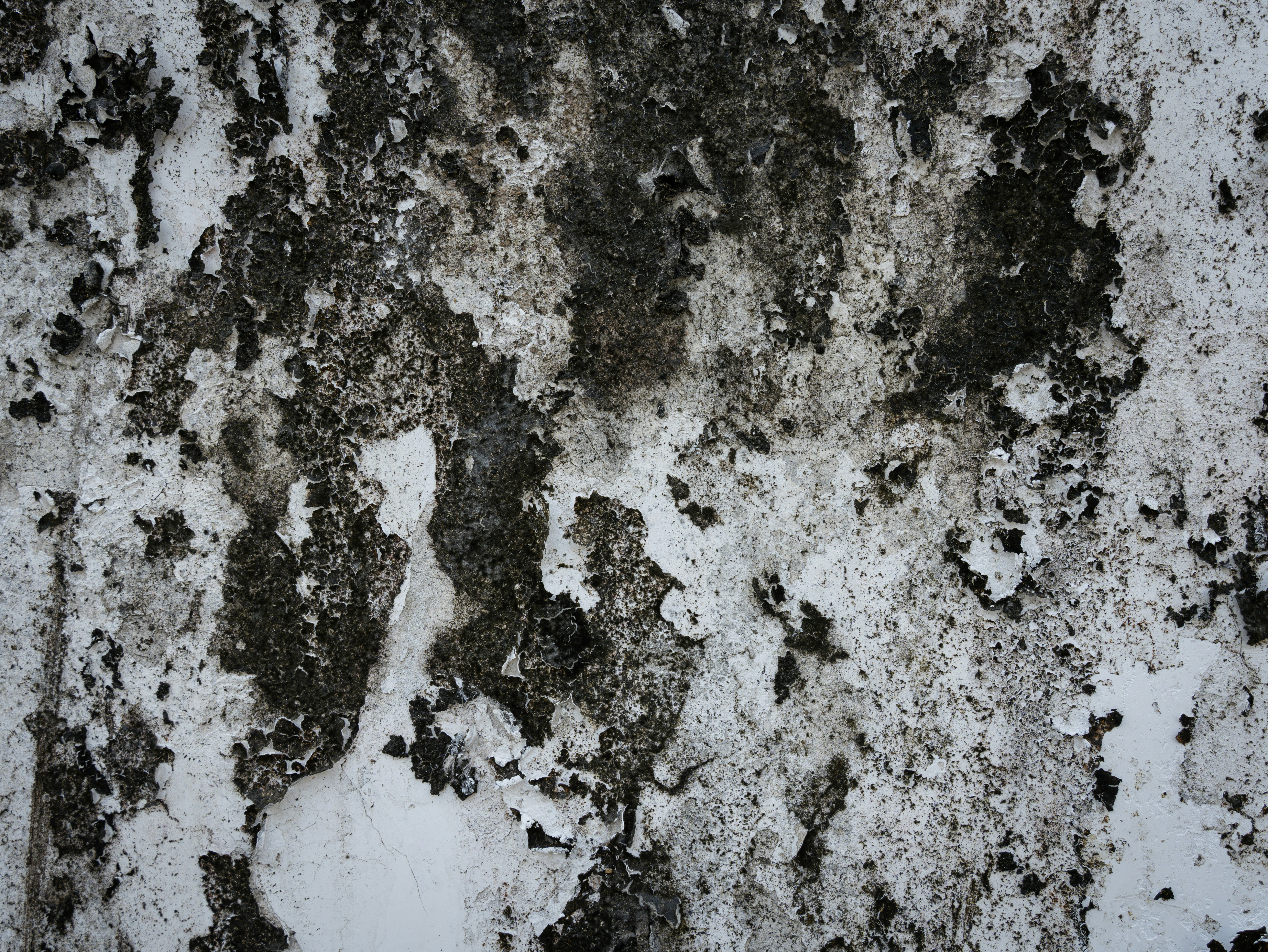 Photo by remapstudio