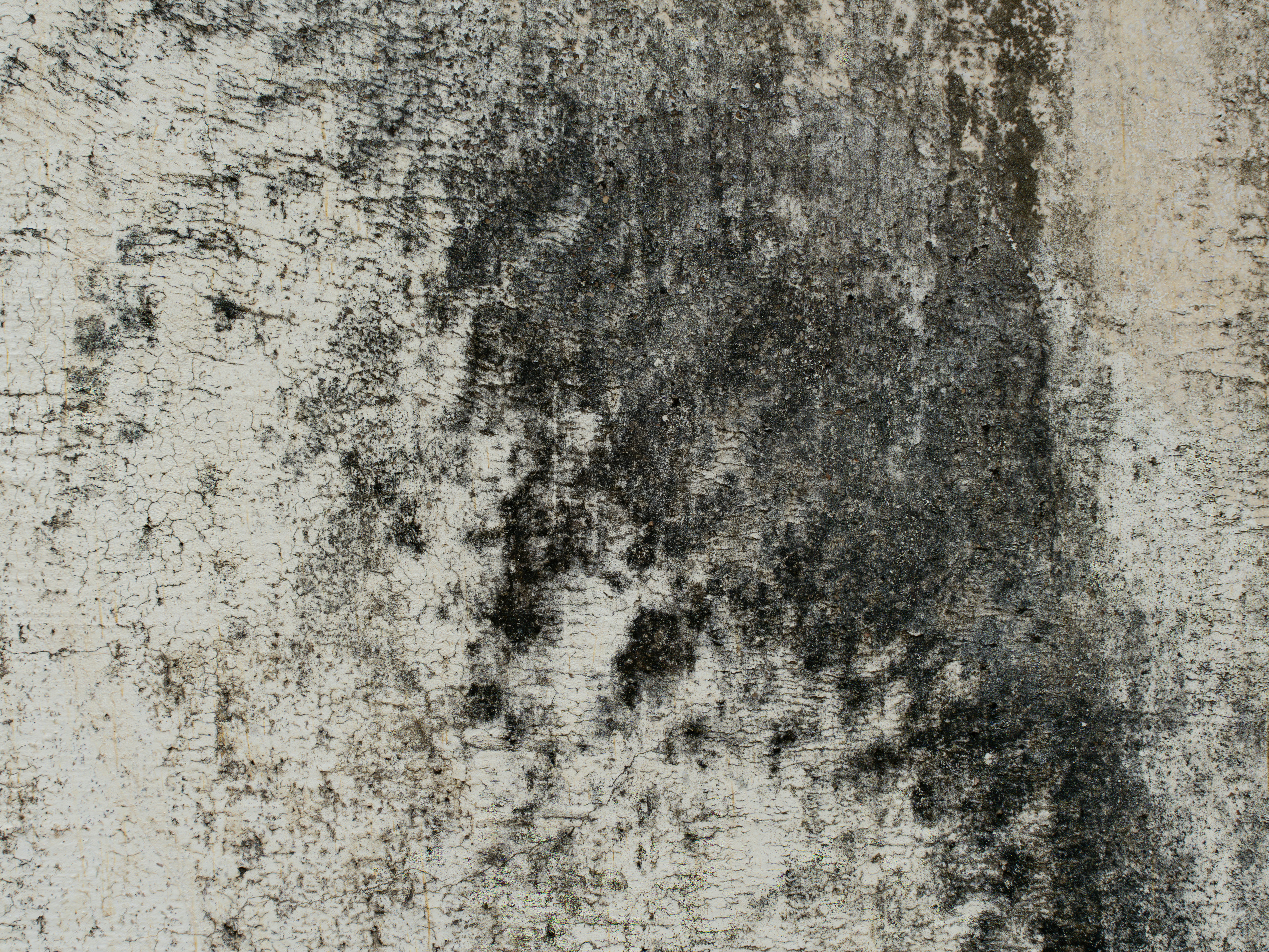 Photo by remapstudio