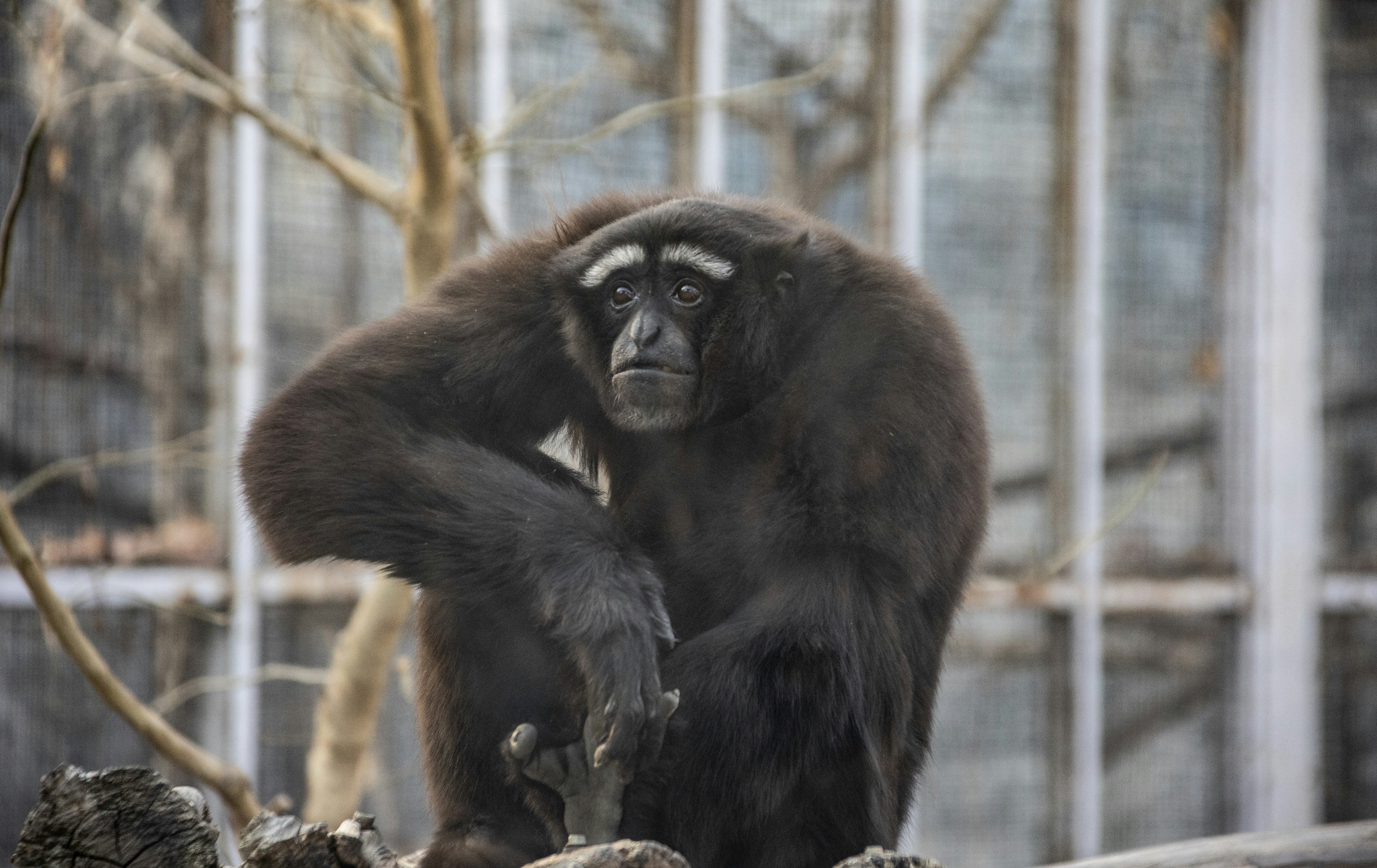 Photo by wu_hua_jiang