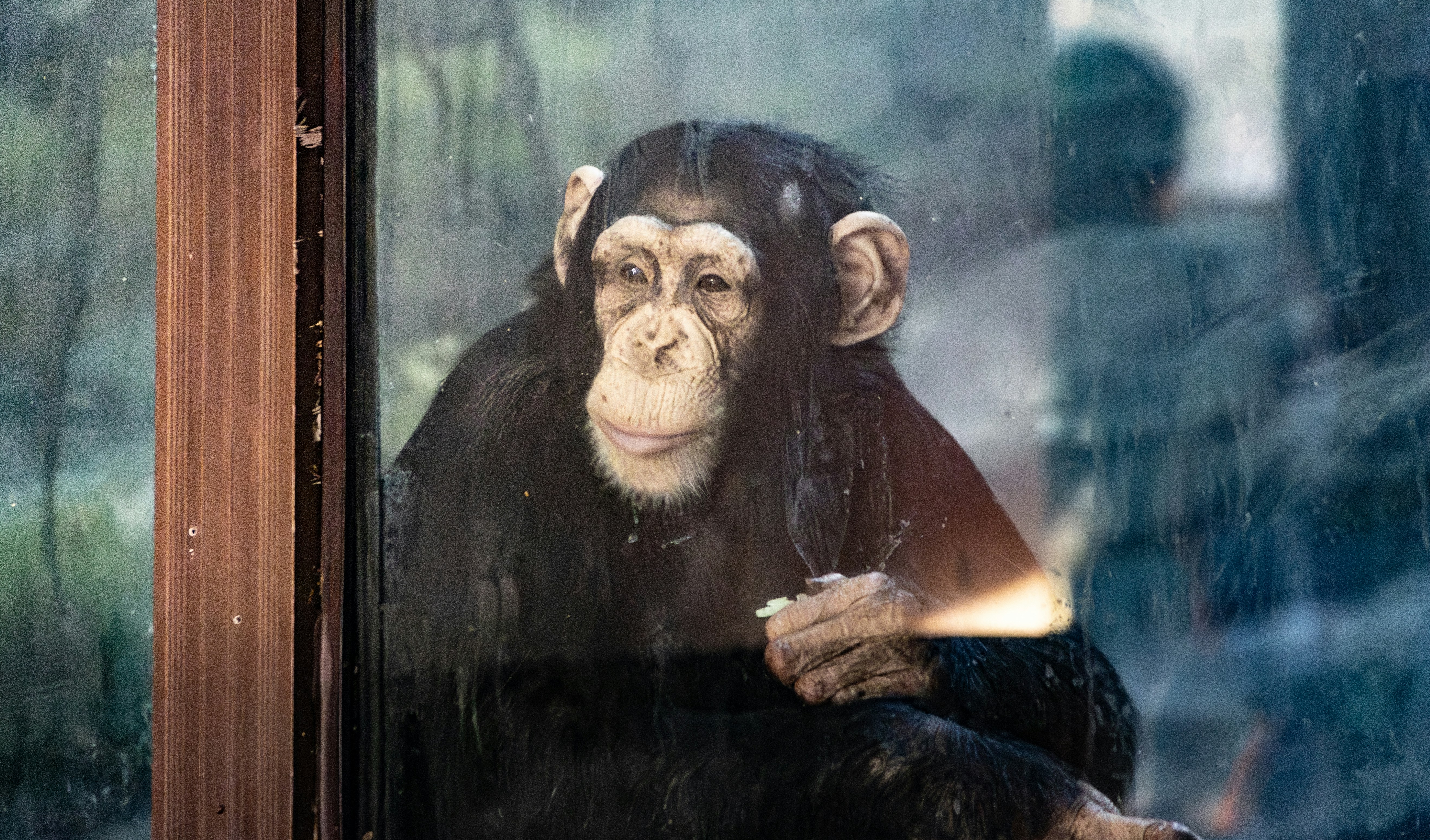 Akıllı Kuş Yemlikleri: Bahçenizdeki Doğaya Yeni Bir Pencere