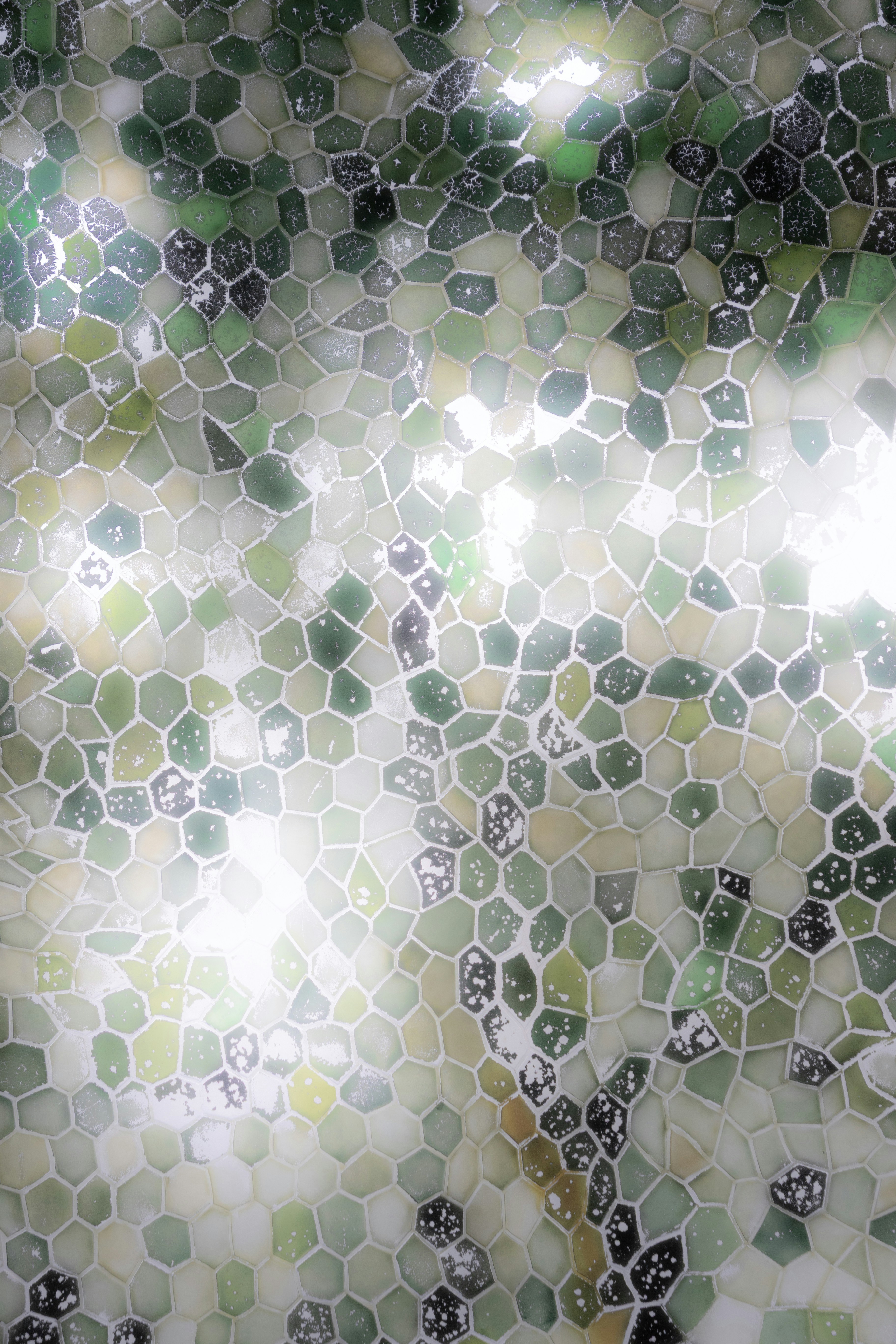 Photo of Green and white hexagonal mosaic pattern with light reflections by Hongjin Wang