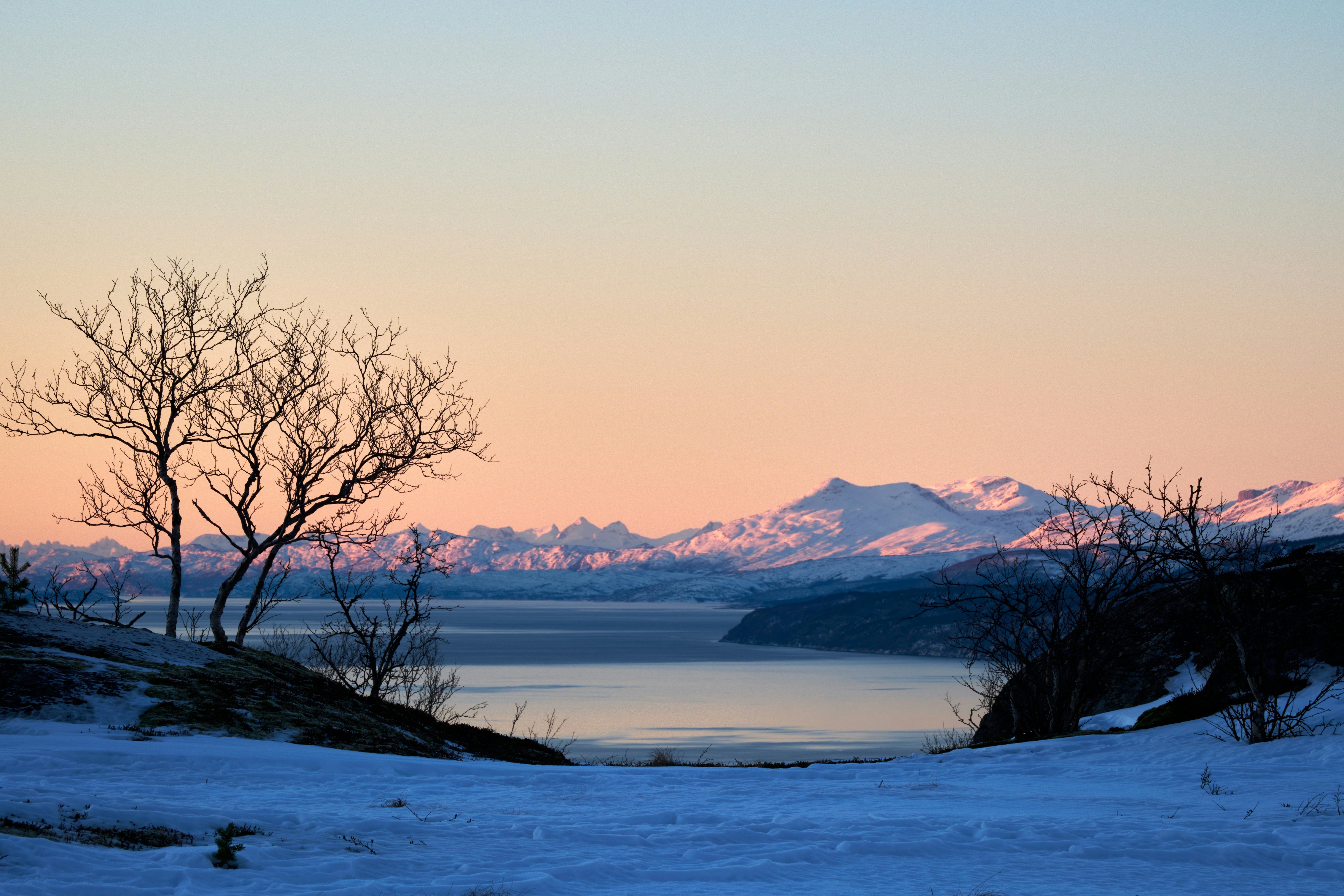 Photo by streit0liver