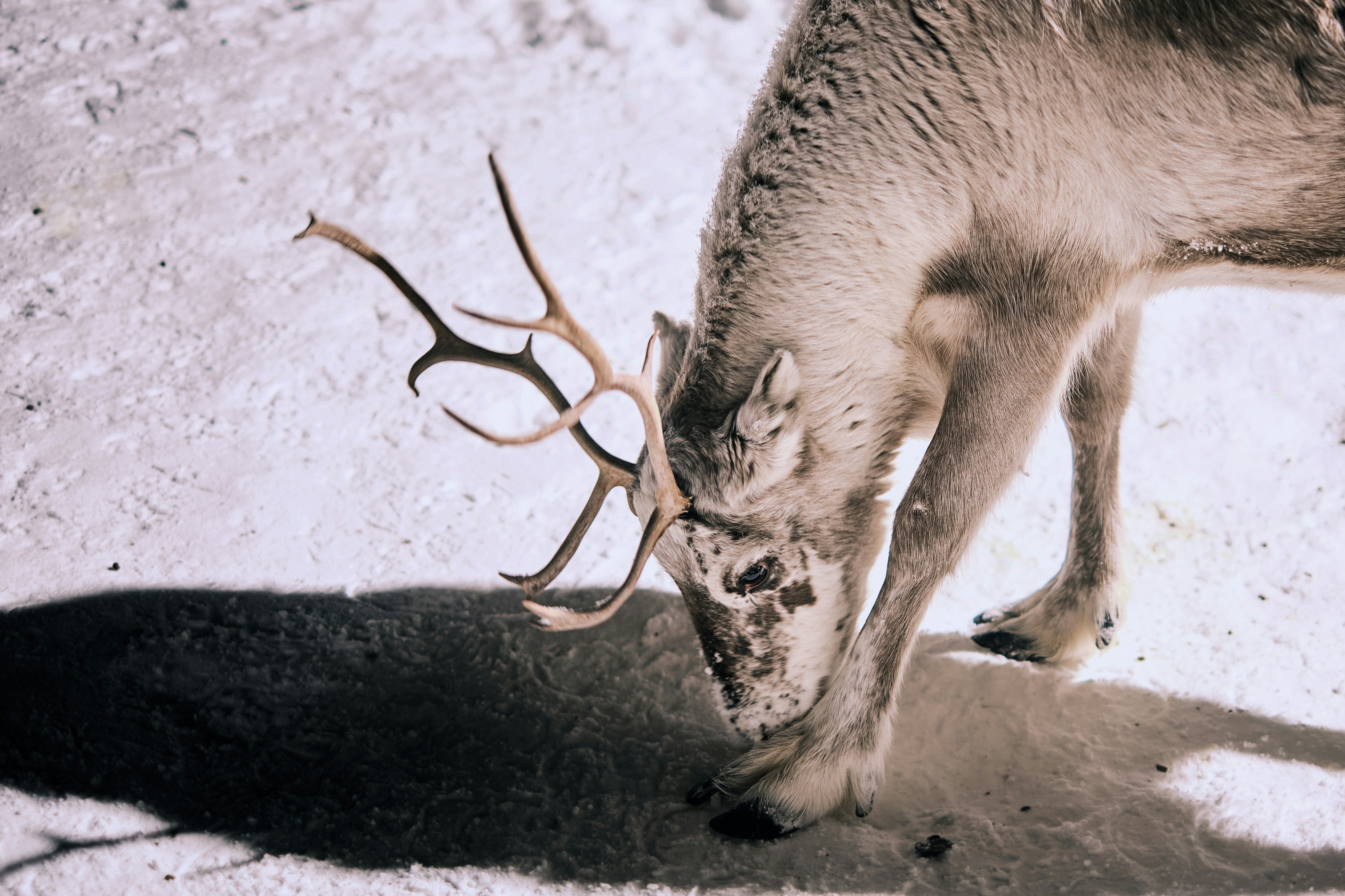 Photo by streit0liver