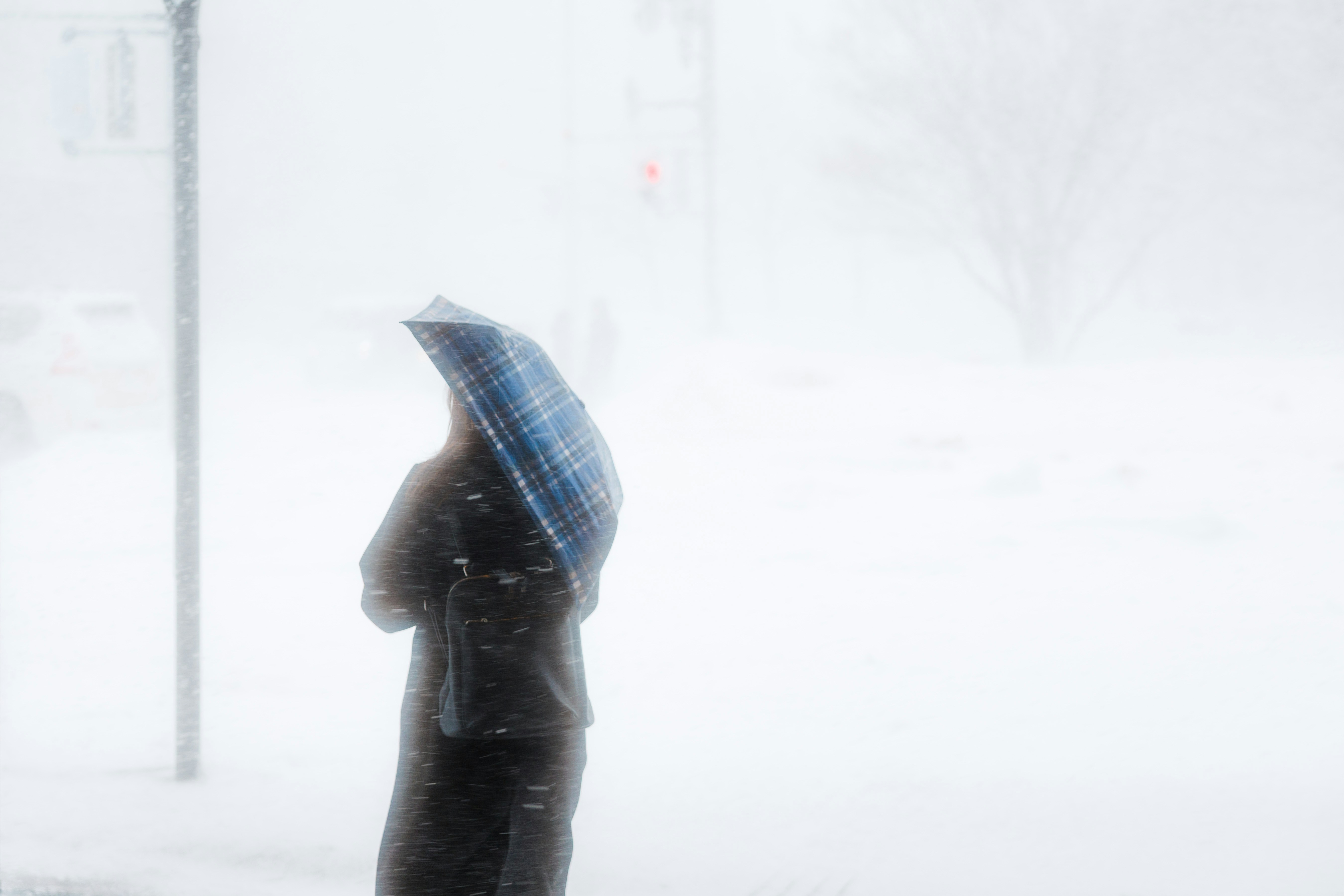 Photo by wenhao_ruan