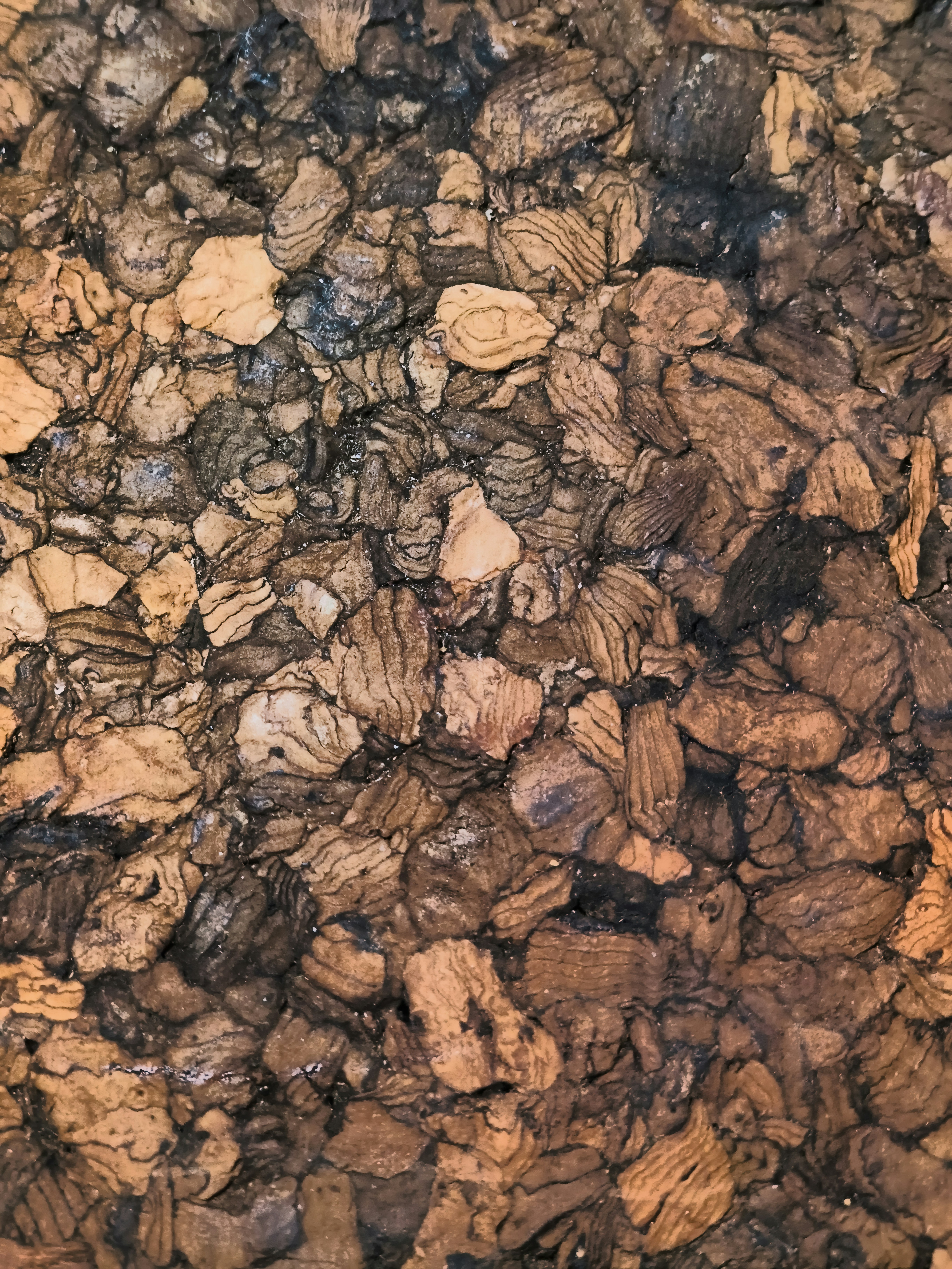 Close-up of textured cork material with natural brown tones.