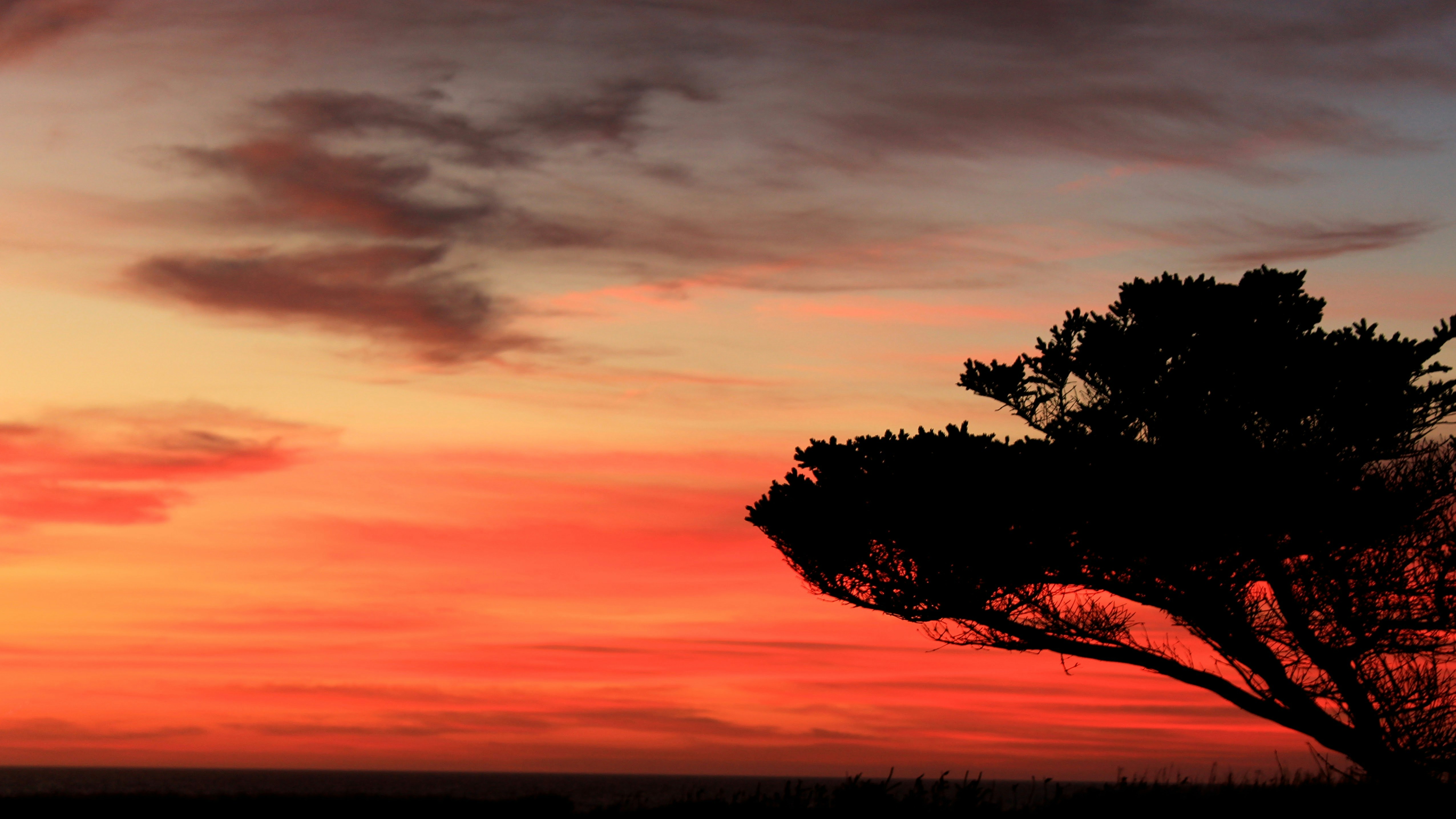 Photo by turniphead709