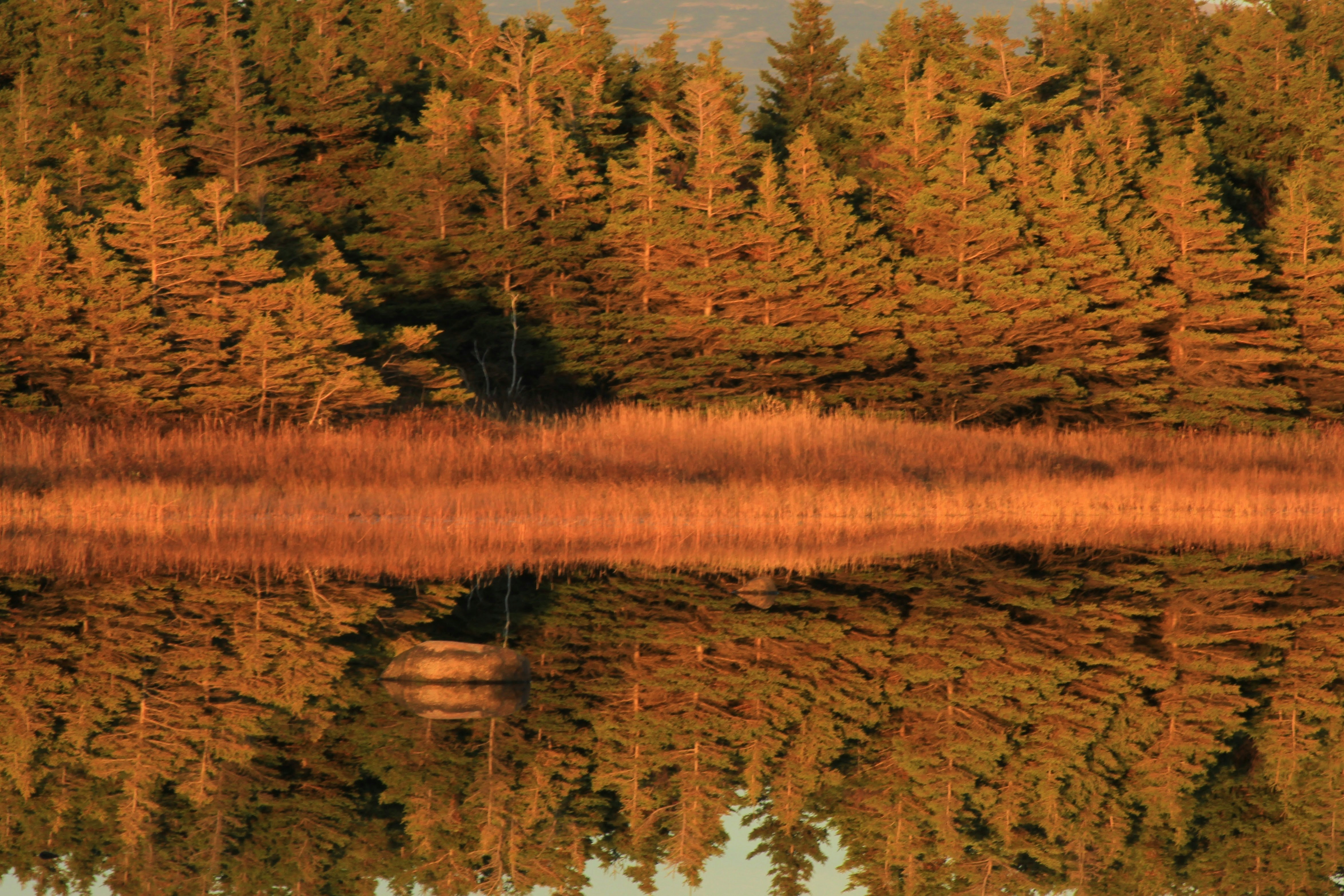 Photo by turniphead709