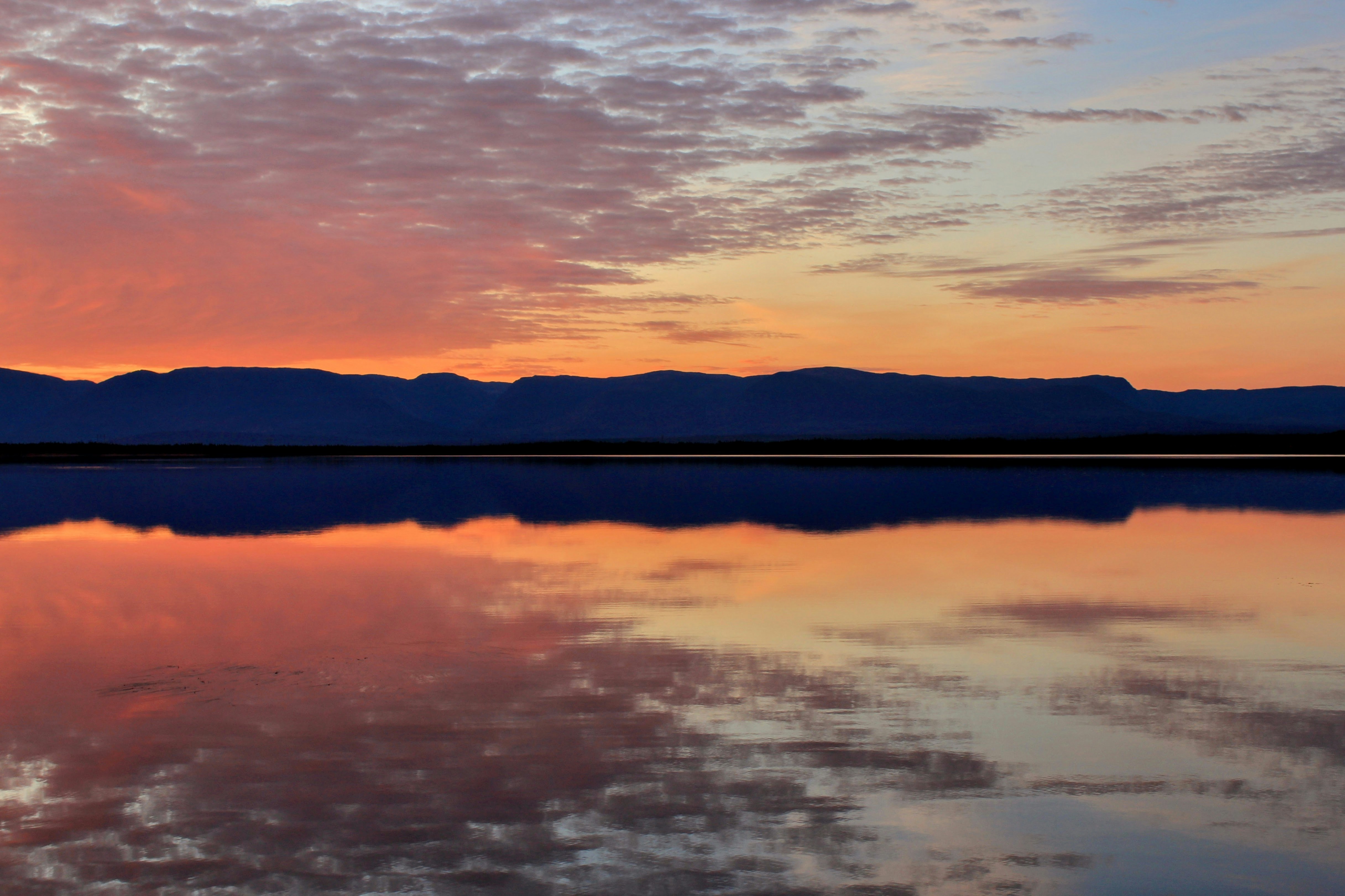 Photo by turniphead709