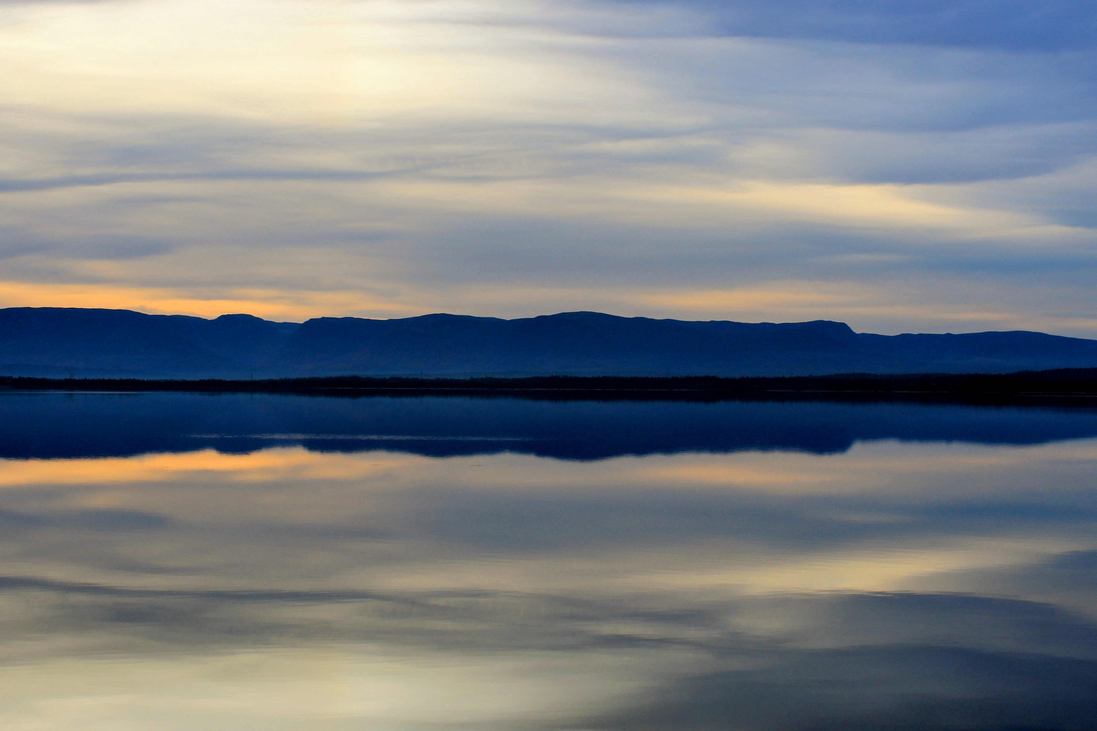 Photo by turniphead709