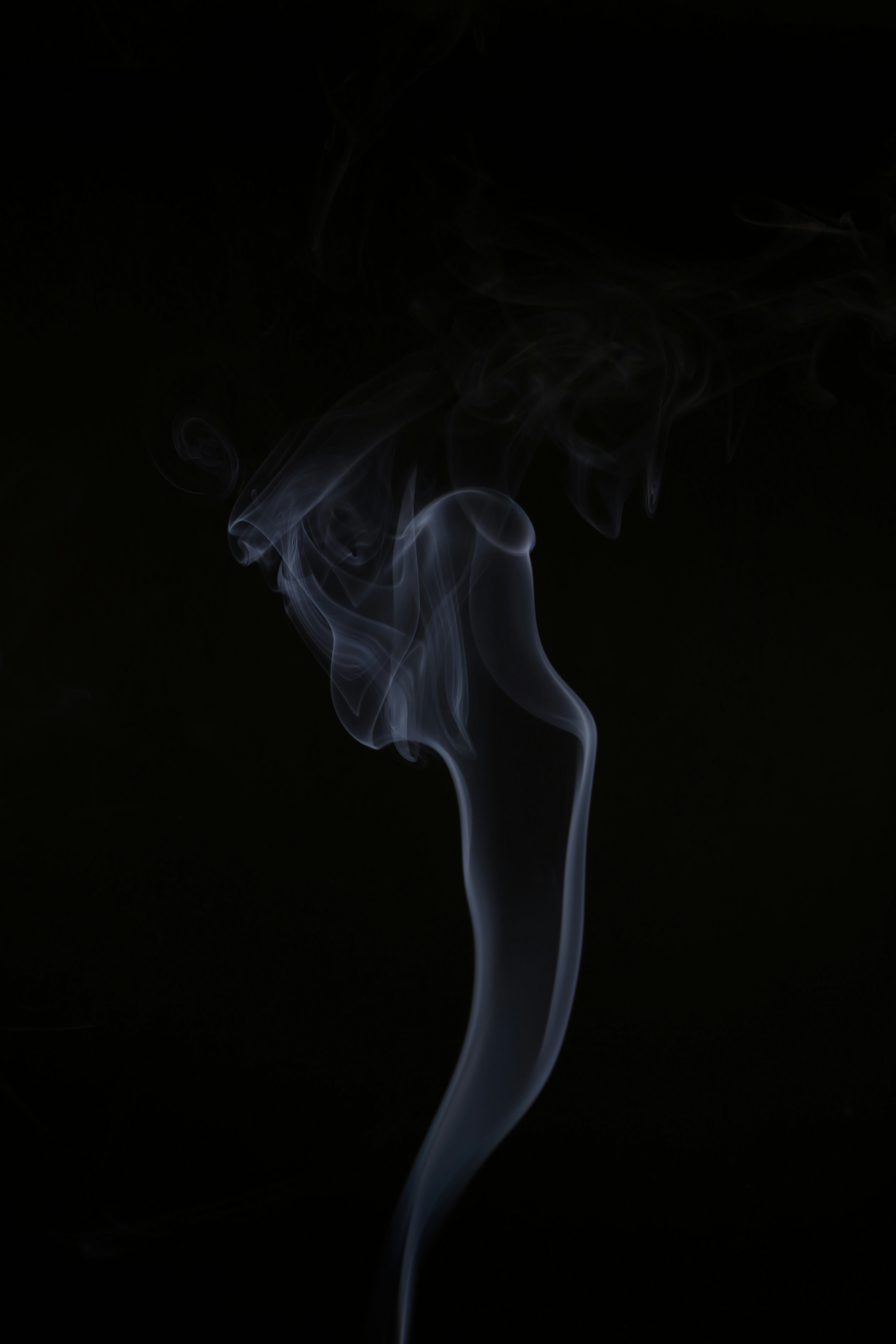 Photo by shannonlovessnowy