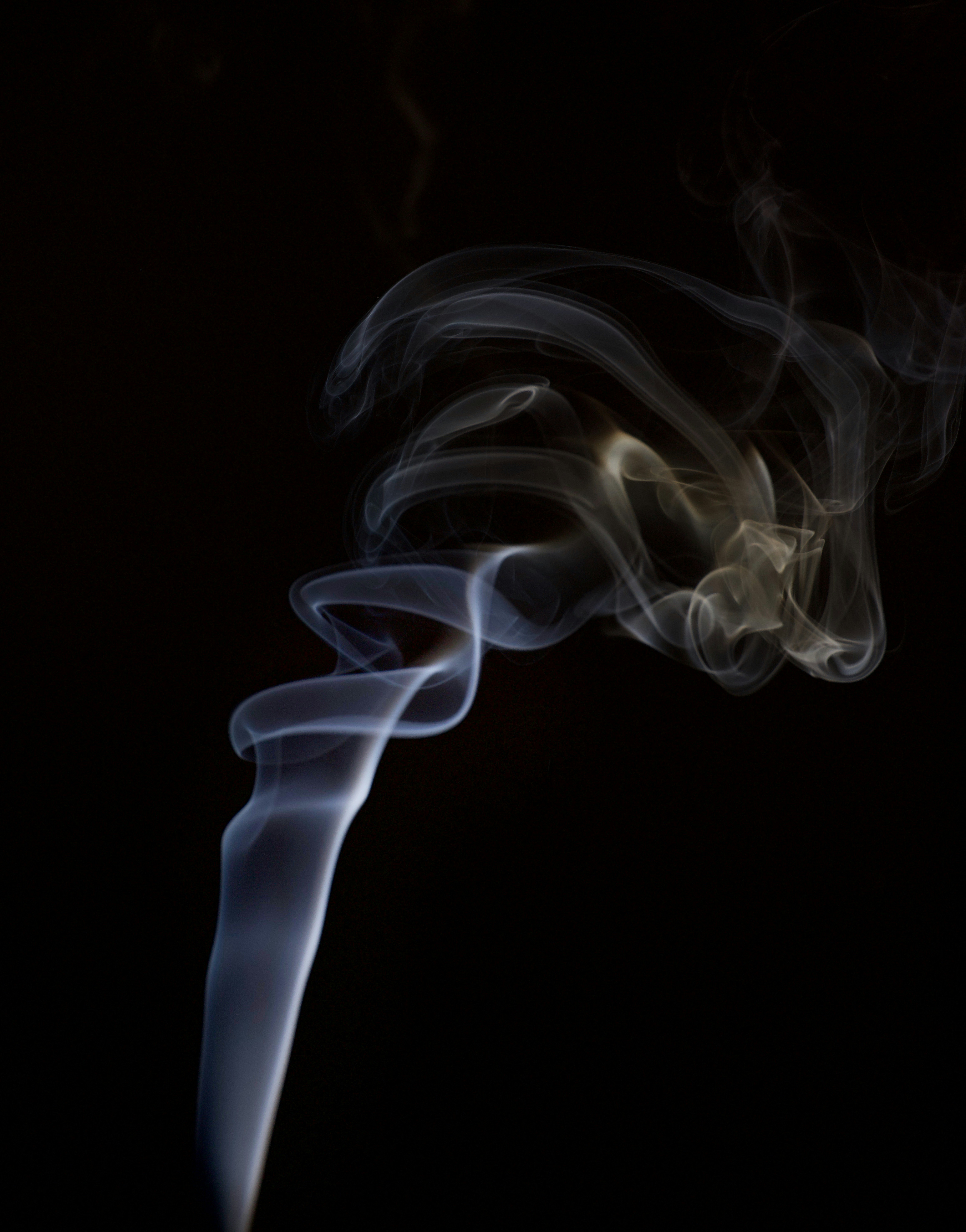 Photo by shannonlovessnowy