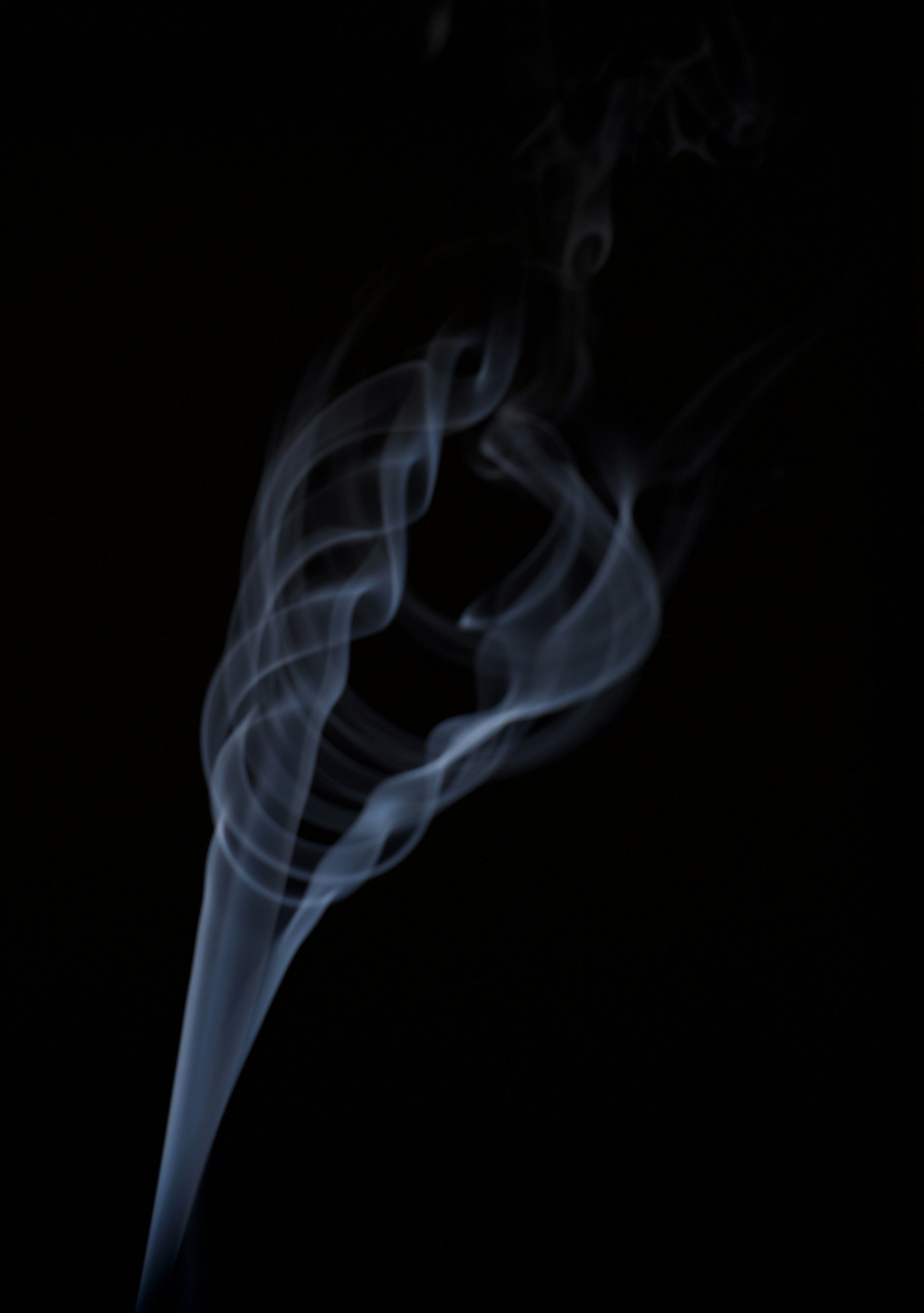 Photo by shannonlovessnowy