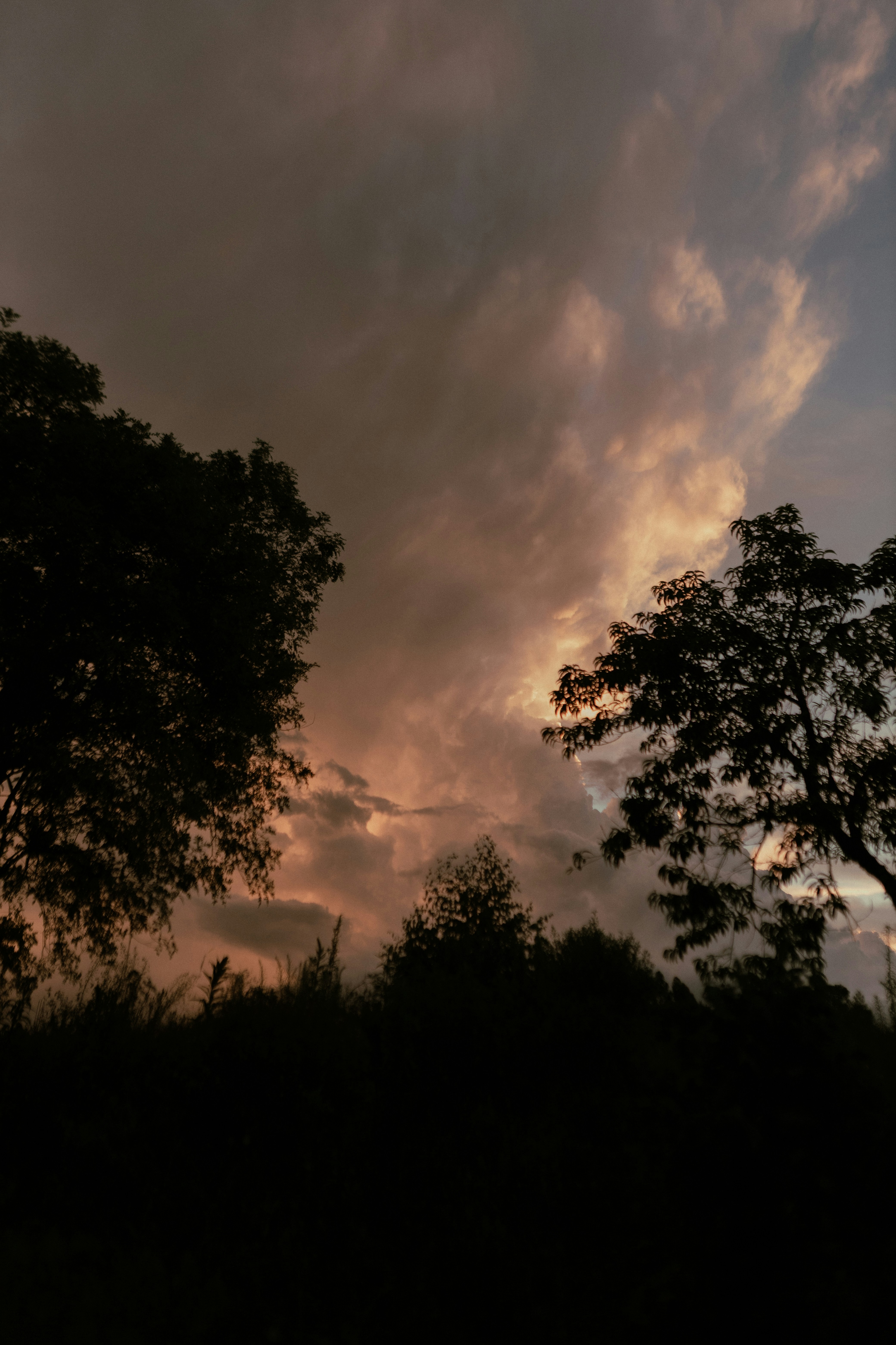 Photo by alexandermassph