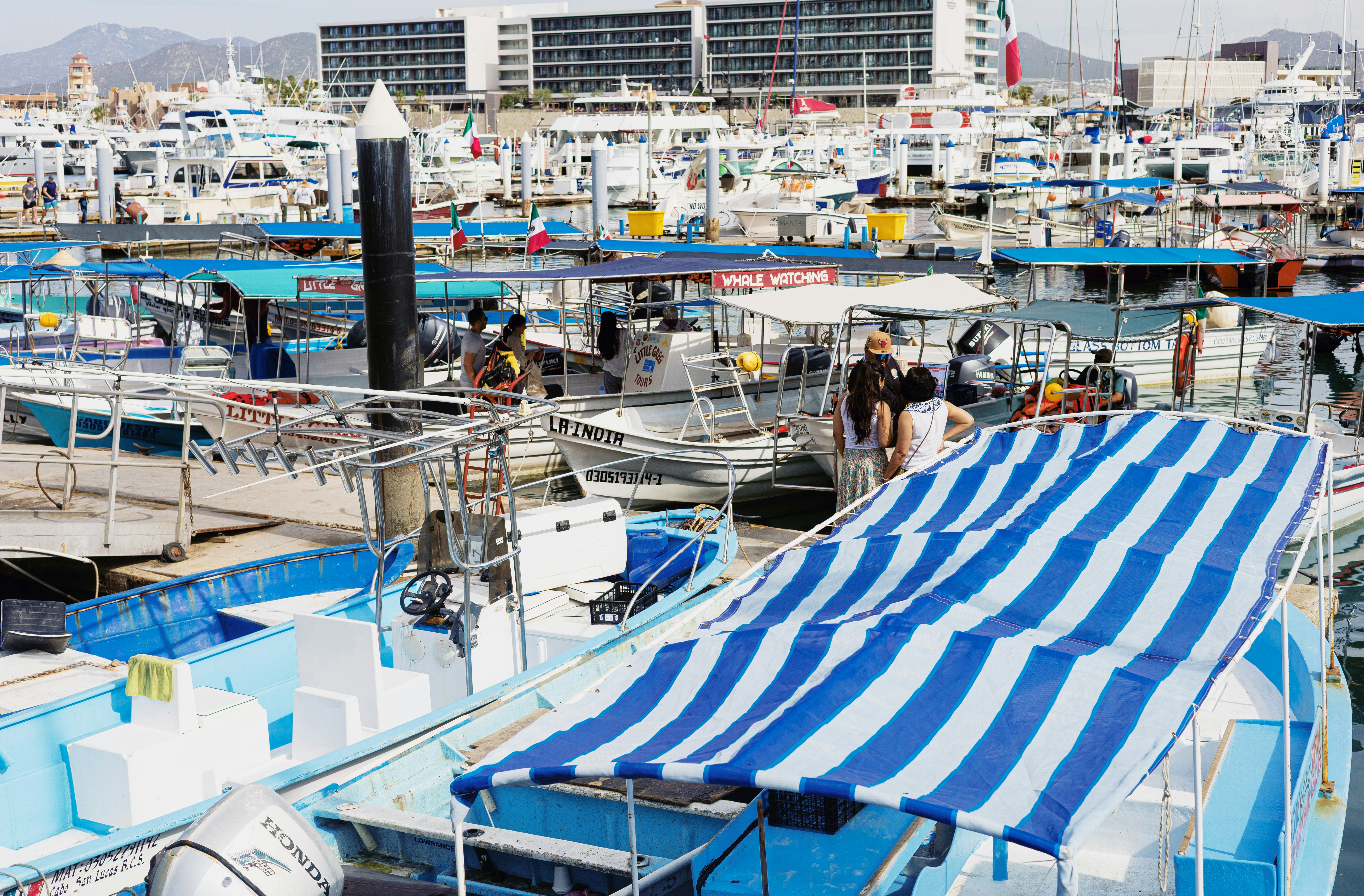 Boote legten in einem belebten Hafen mit Gebäuden im Hintergrund an
