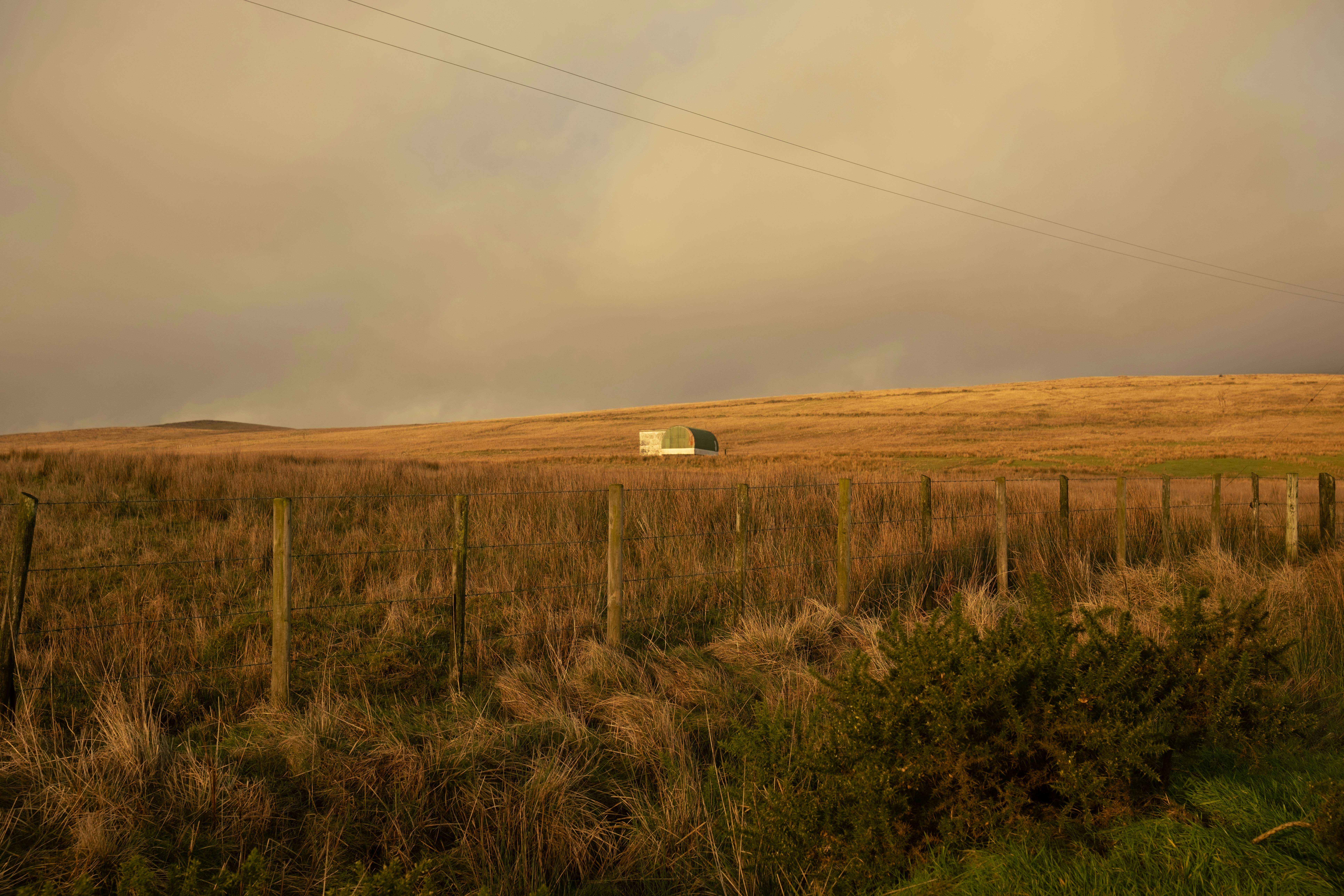 Photo by cranky_bear