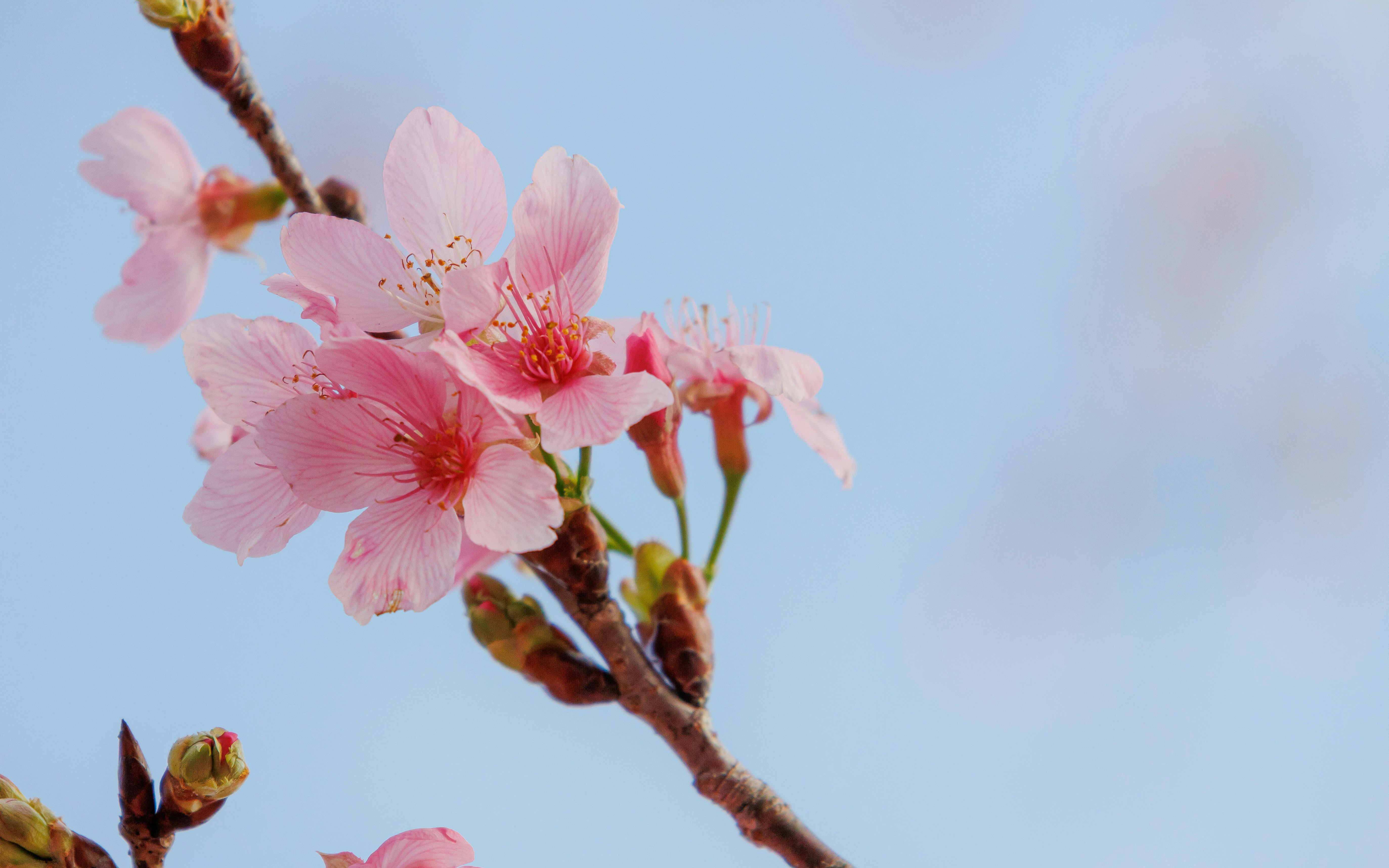 Photo by matthewchow