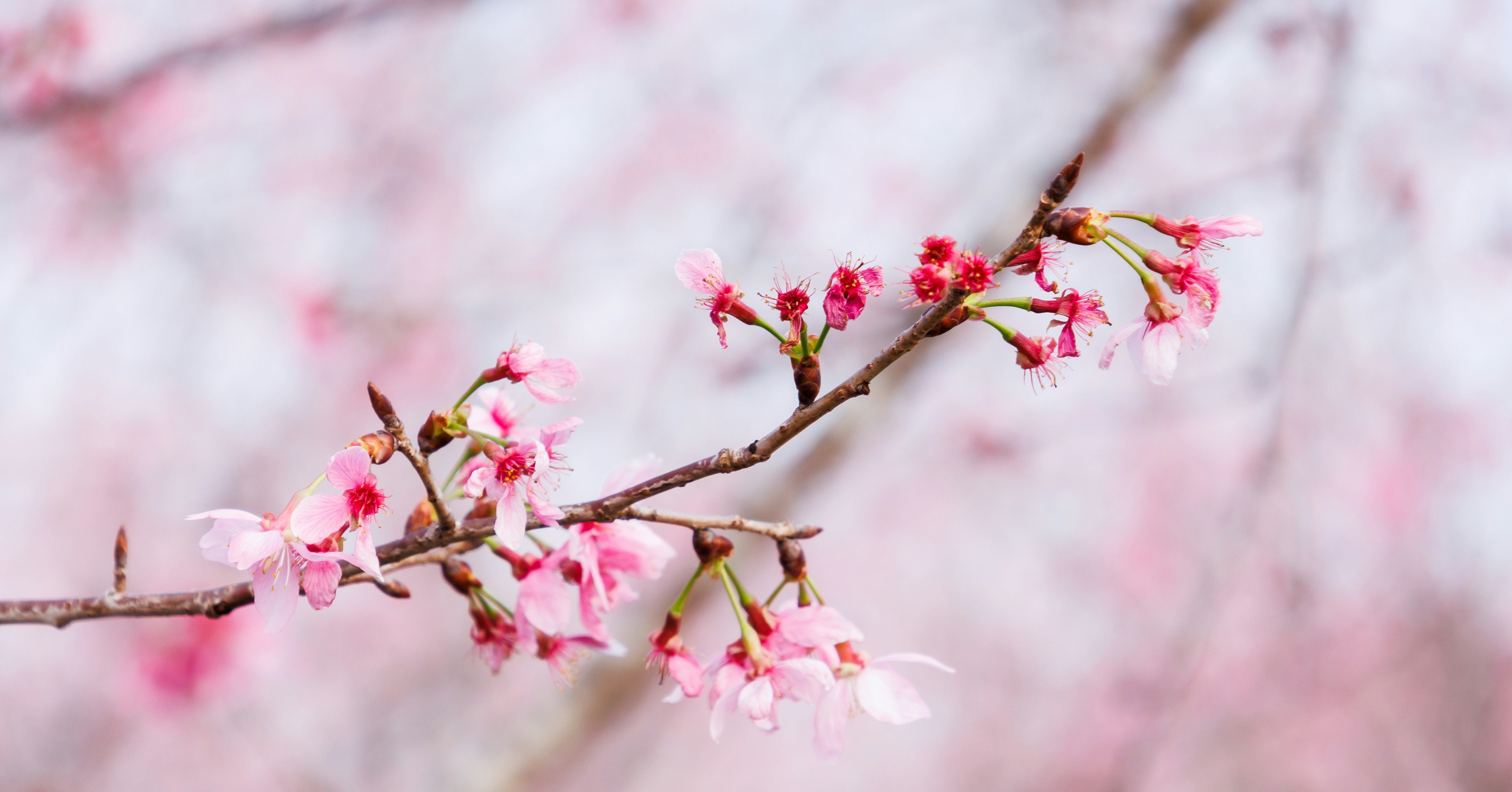 Photo by matthewchow