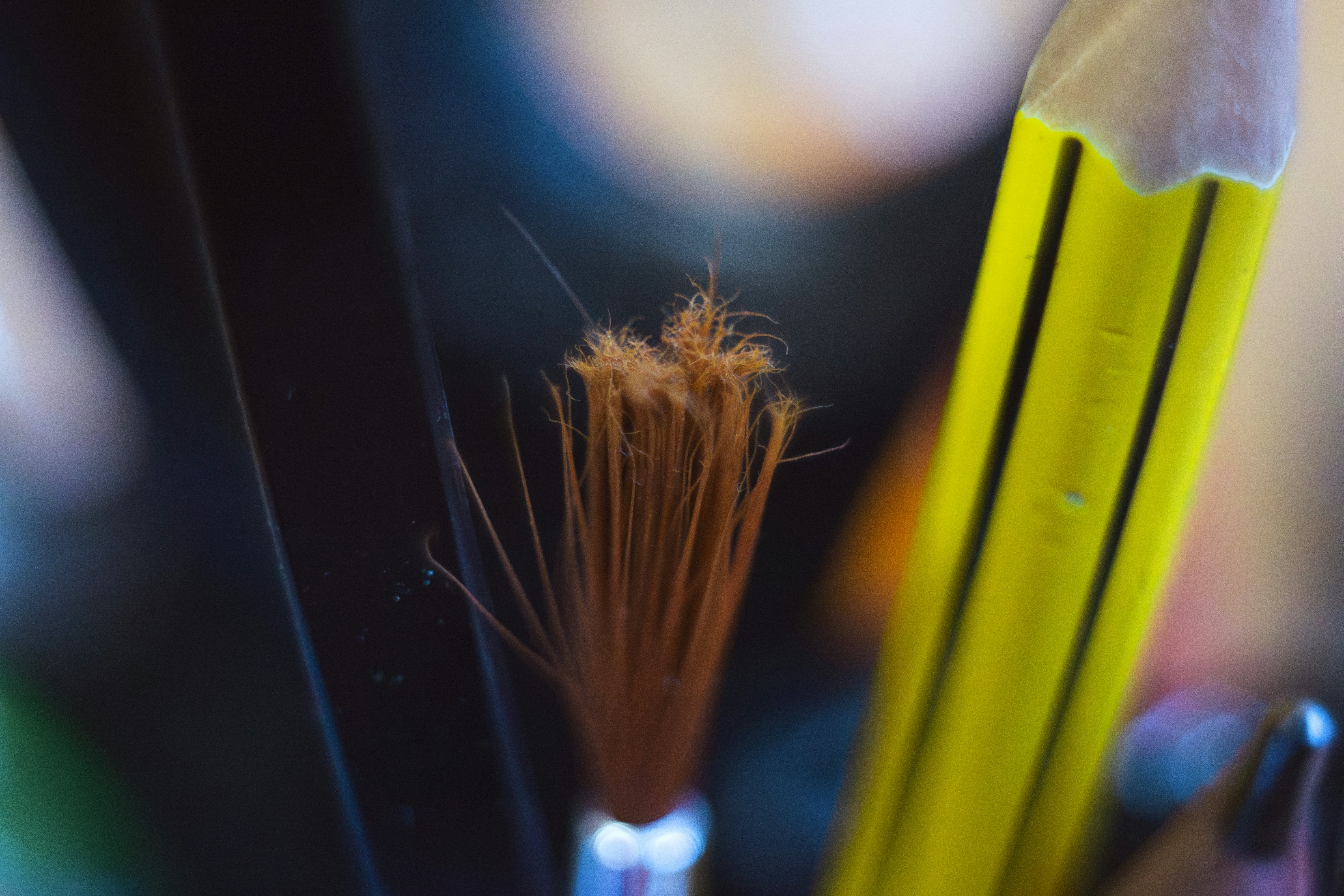 Close-up of a frayed paintbrush and pencils.