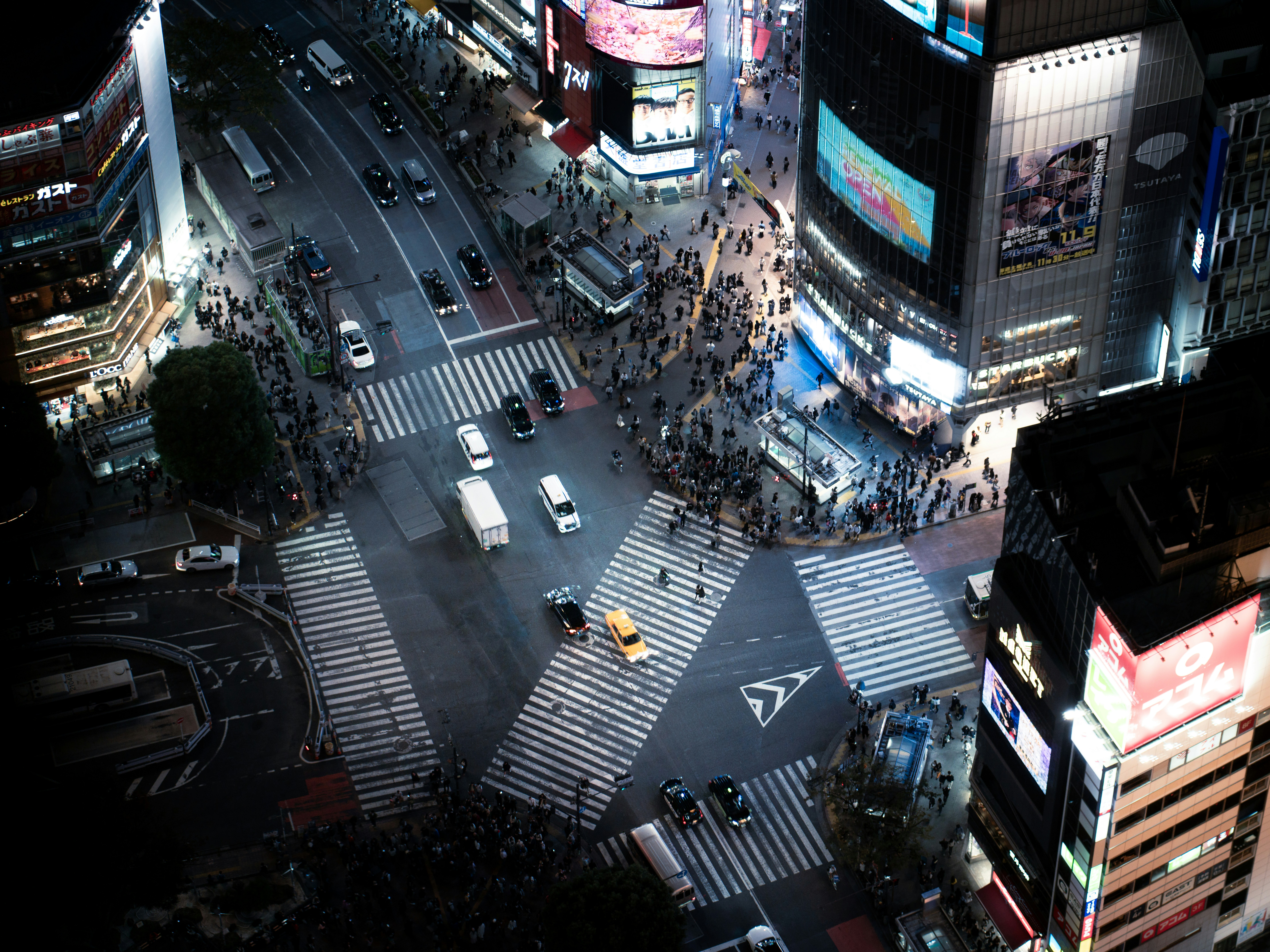 Photo by jivangarcha