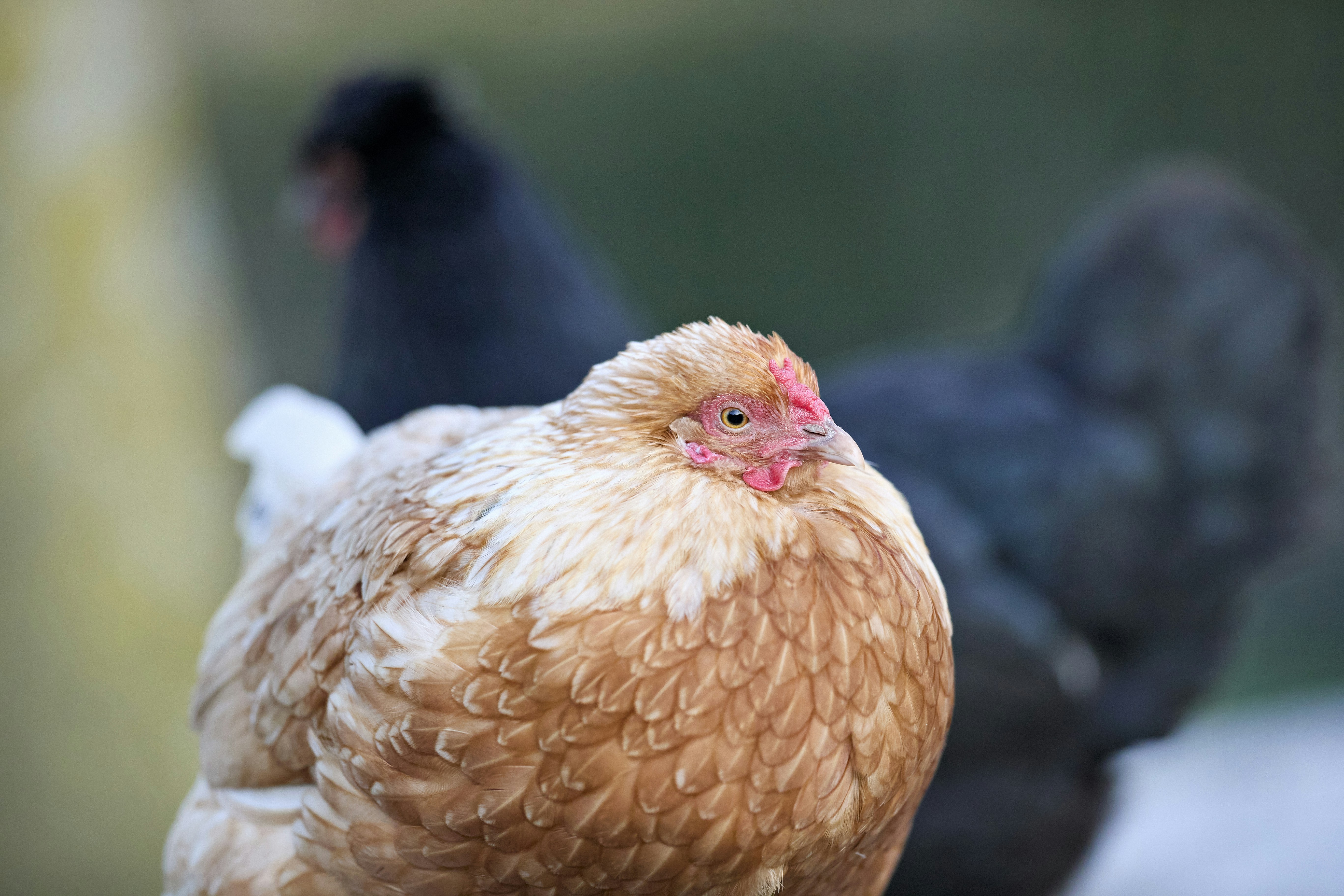 Photo by erwinbosman