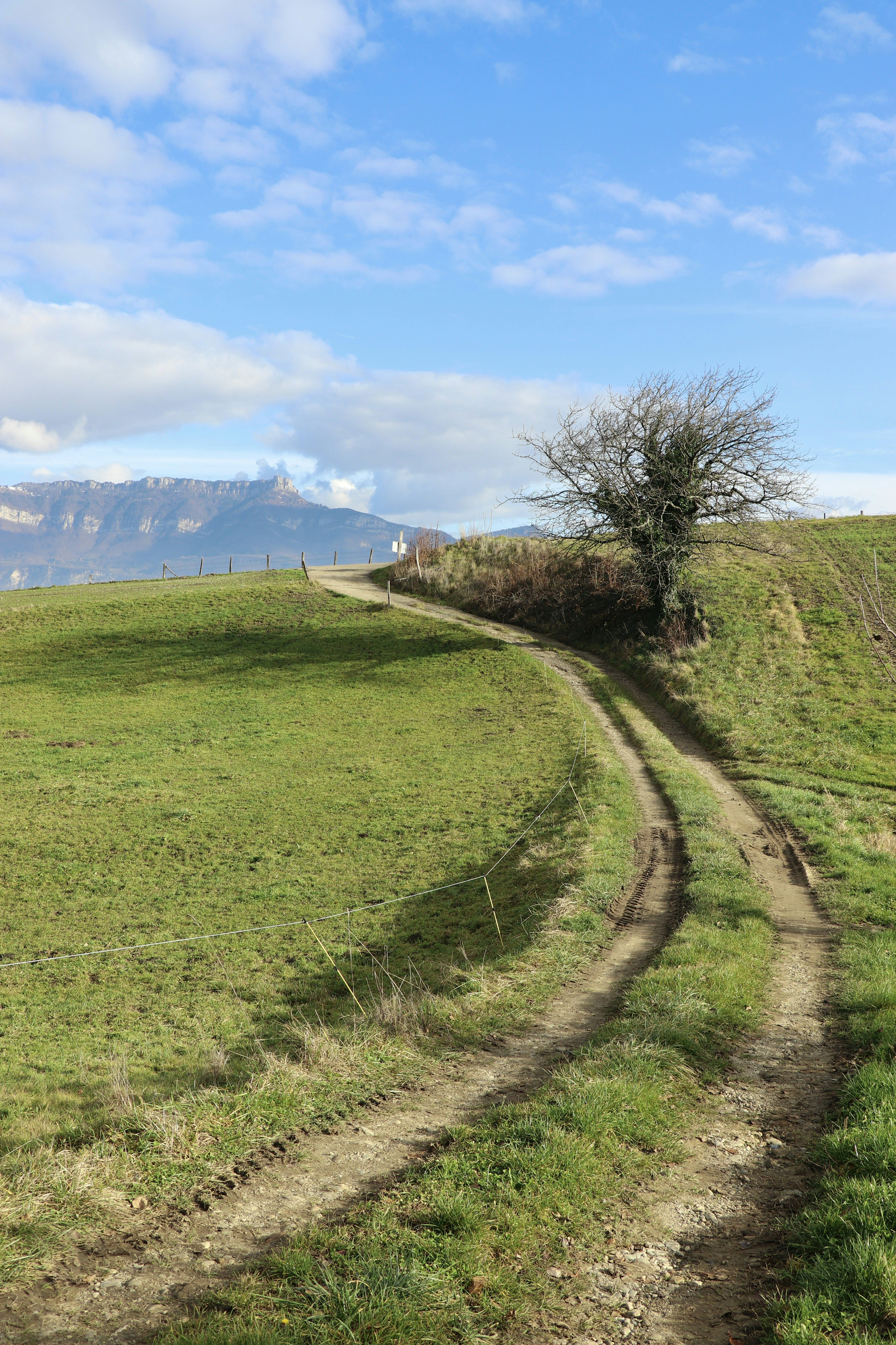 A winding dirt path through a green grassy hill