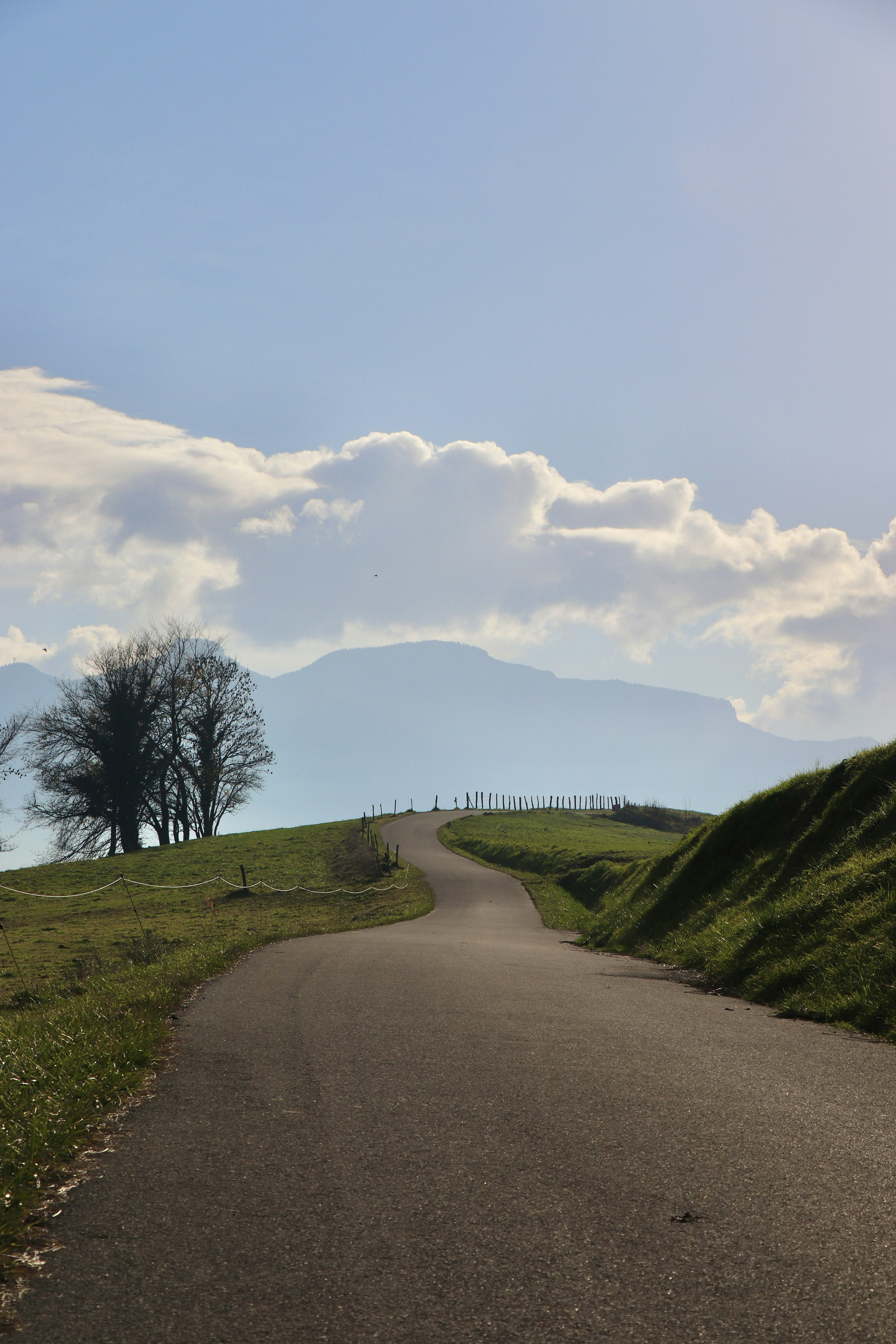 A quiet paved lane curves over a grassy ridge toward the horizon, with fence posts and a lone tree silhouetted against soft mountain layers and billowing clouds. Clean leading lines and gentle afternoon light evoke a calm, open-road feeling.