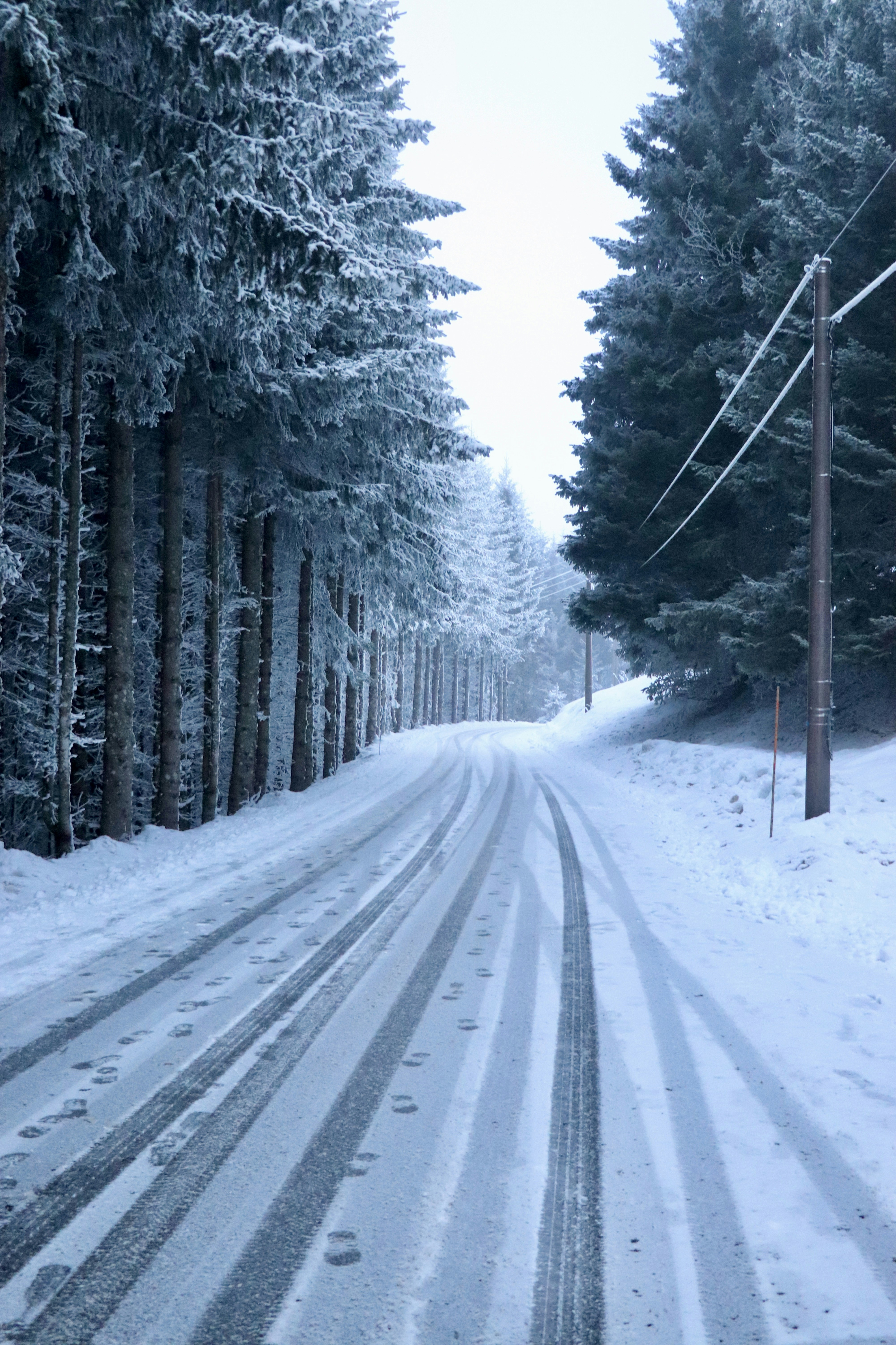Snowy forest road with tire tracks and footprints