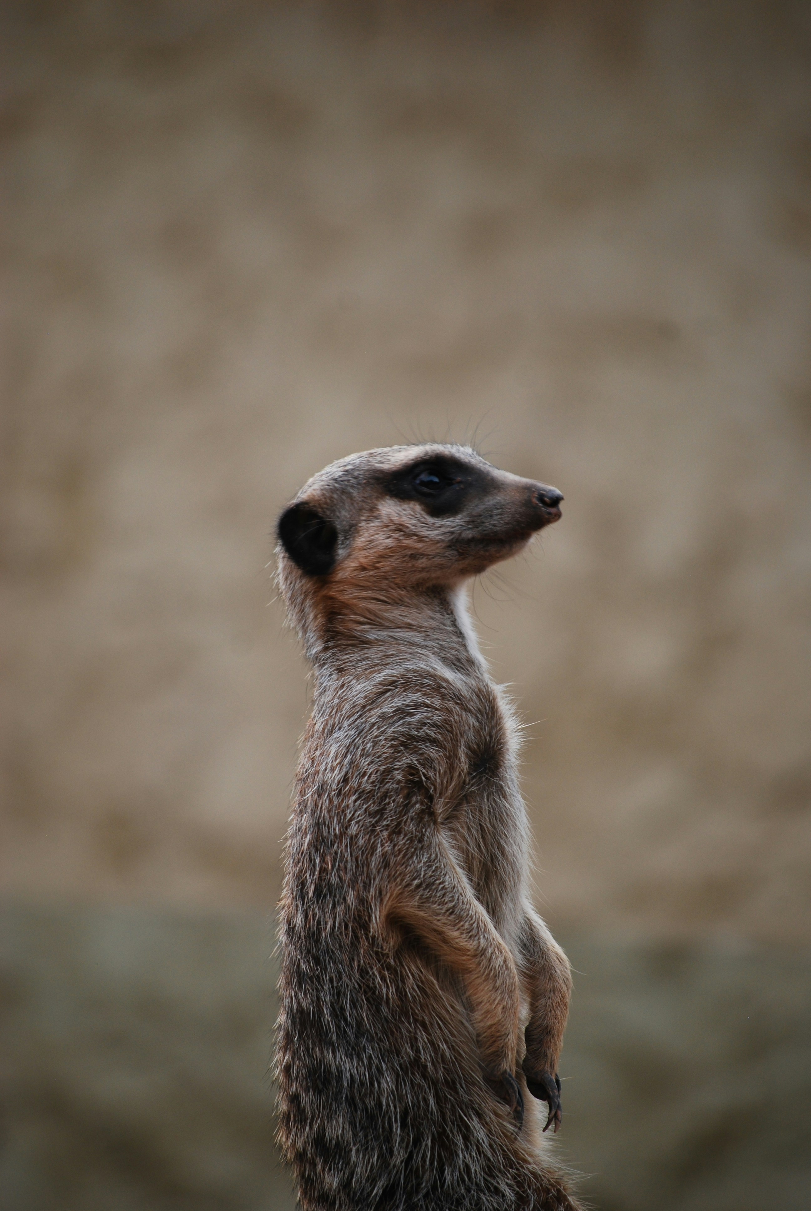 Photo by hazer677744