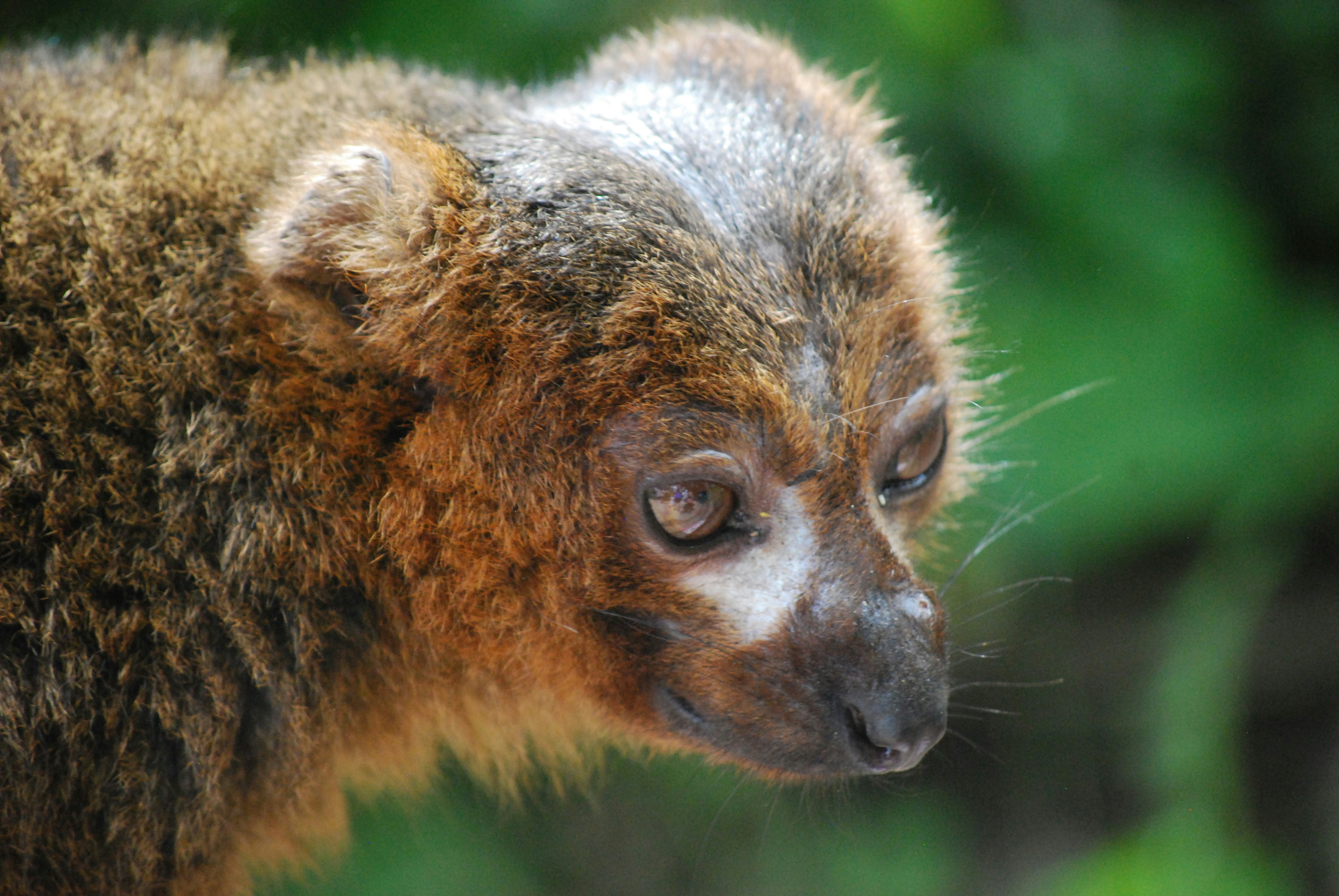 Photo by hazer677744