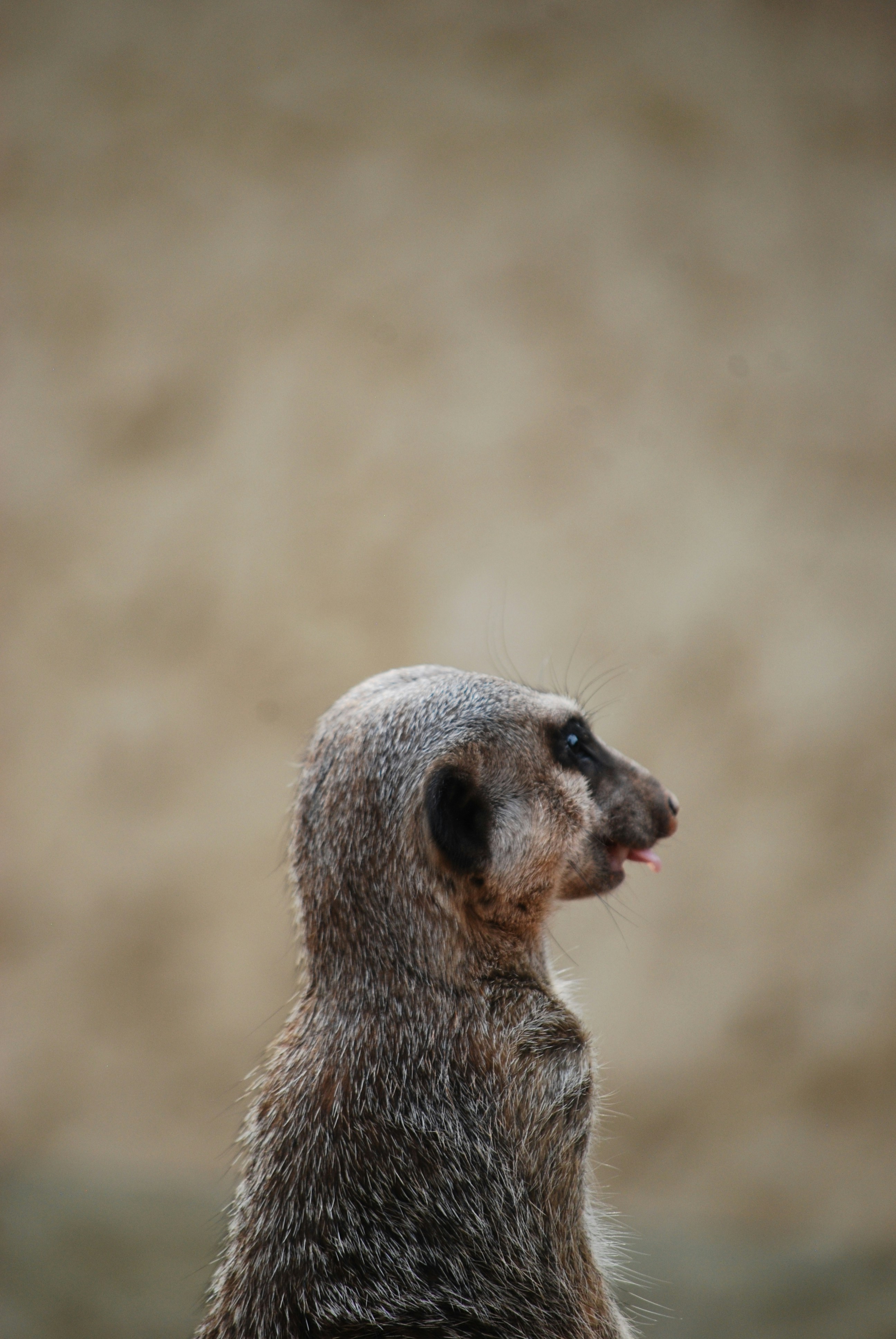 Photo by hazer677744