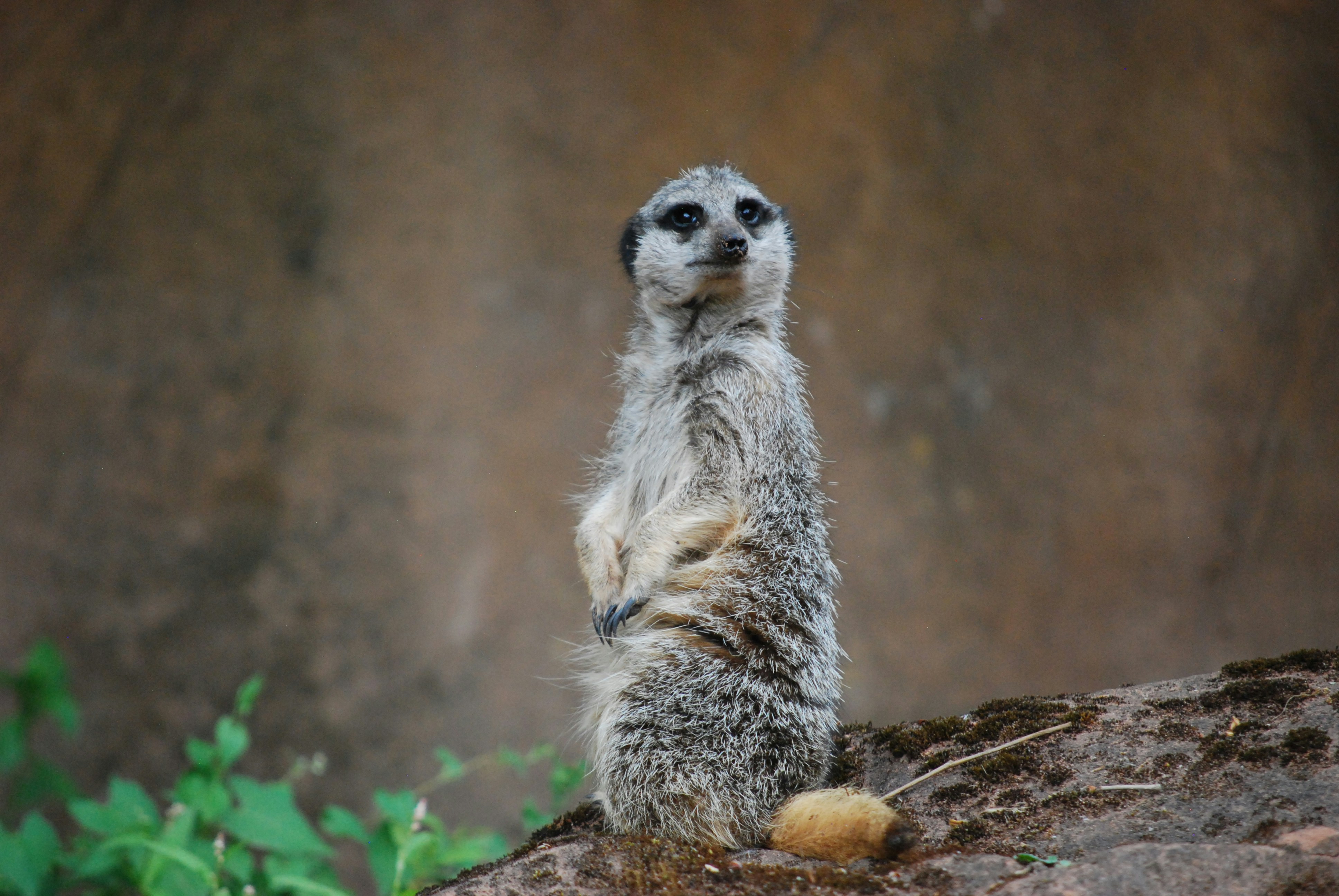 Photo by hazer677744