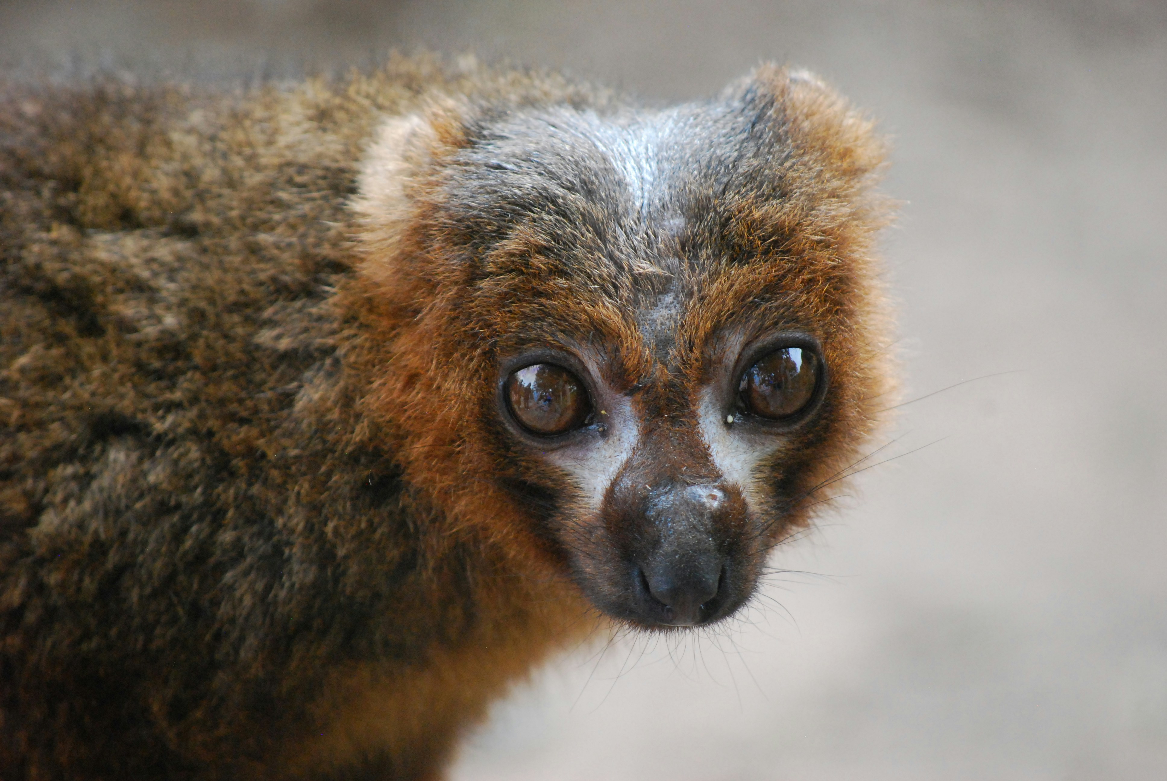 Photo by hazer677744