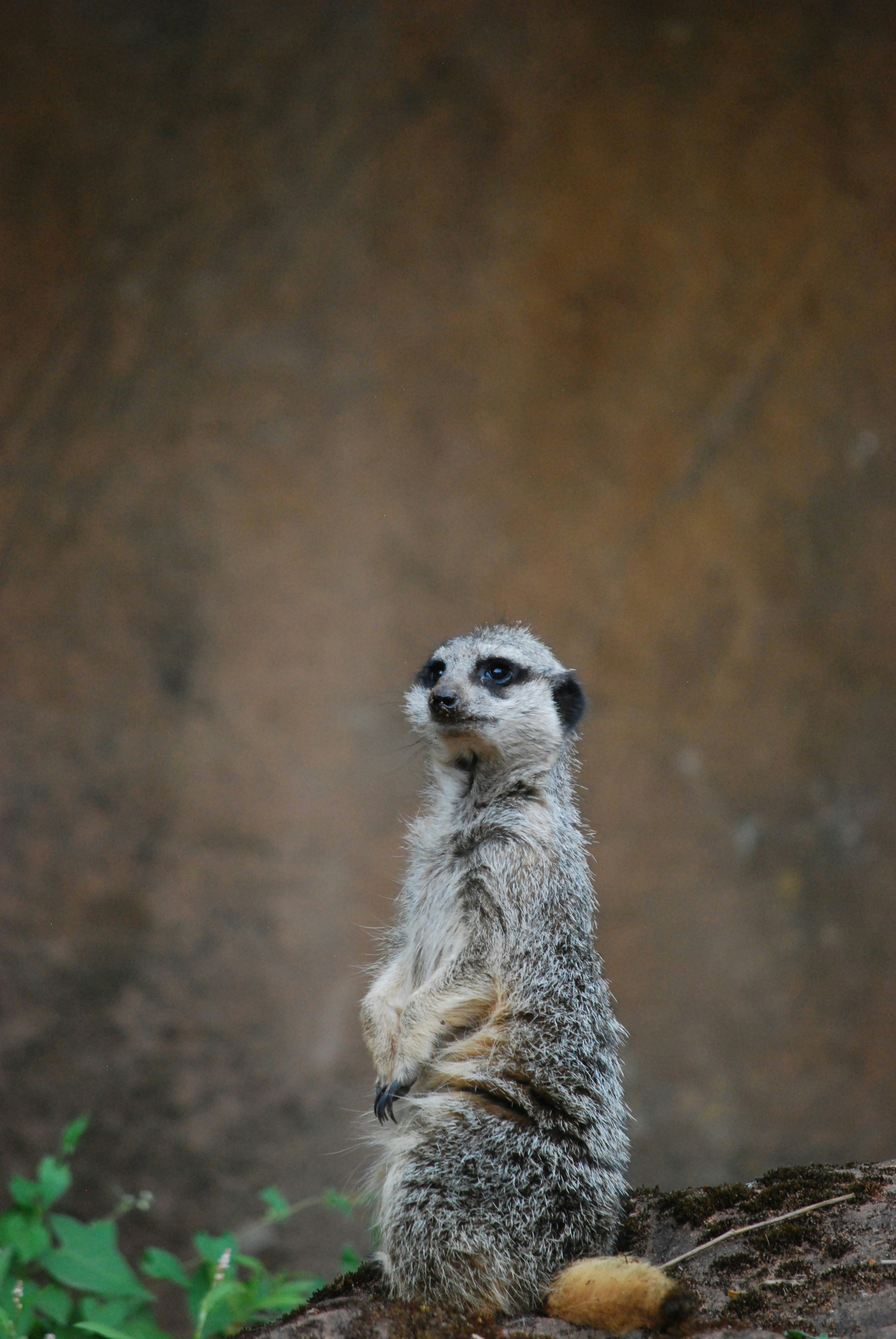 Photo by hazer677744