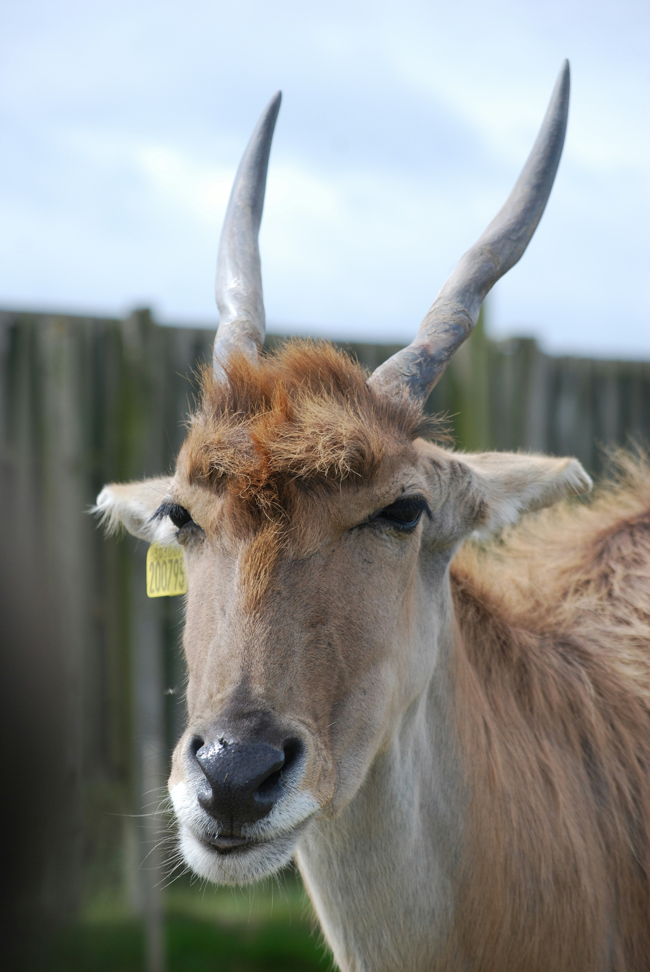 Photo by hazer677744